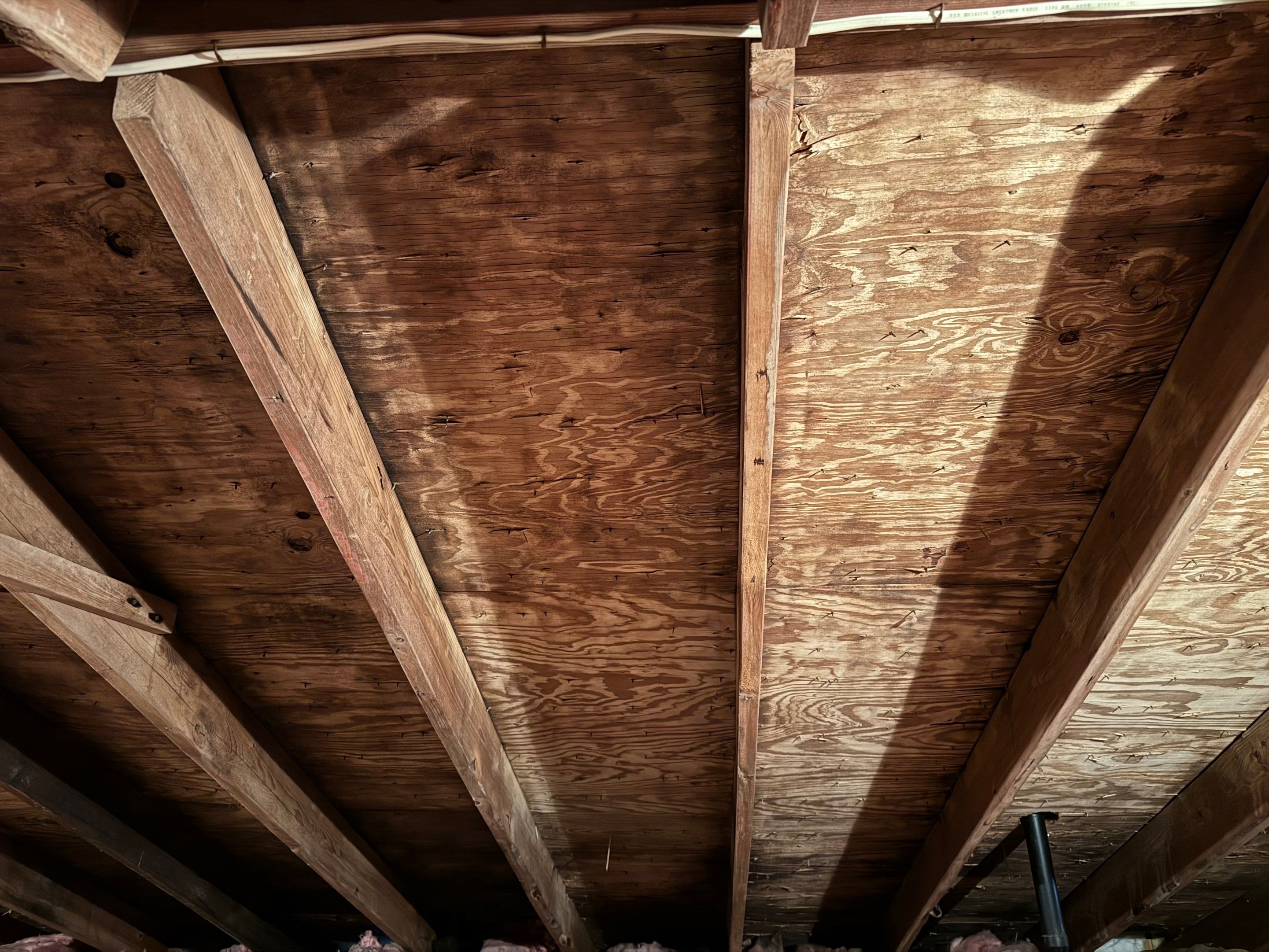 Attic Mold Remediation by Home Guarantee, LLC