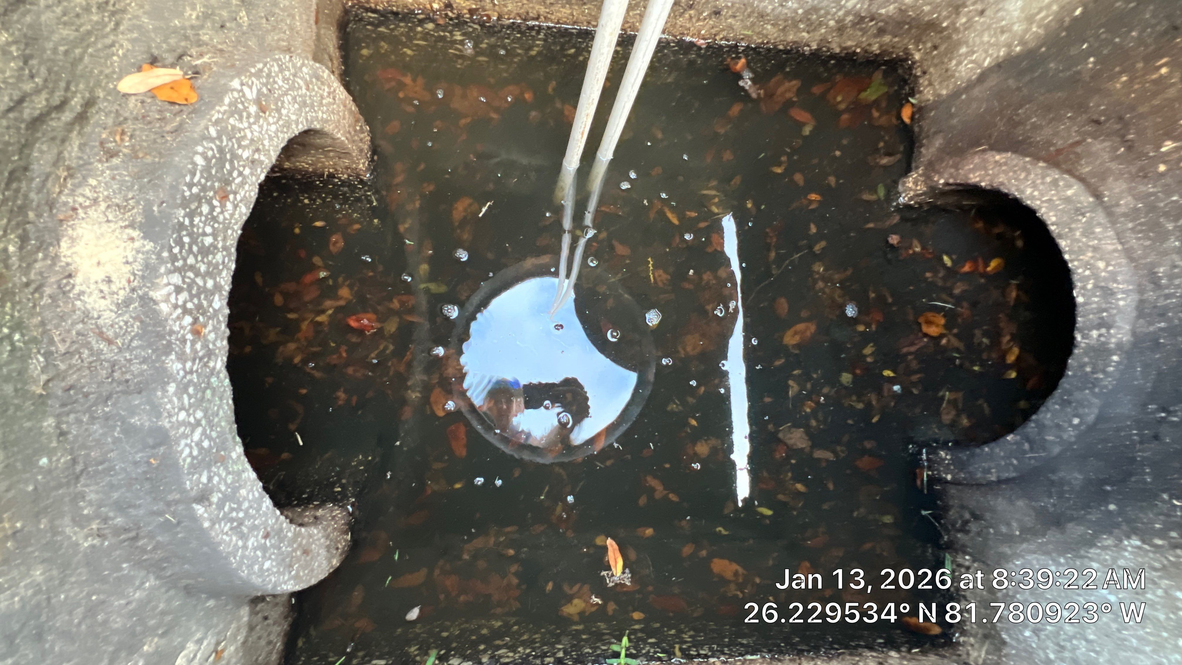 Naples Community Root Intrusion Investigation with P.R.S. by Don Mar, Inc. Storm Water Solutions