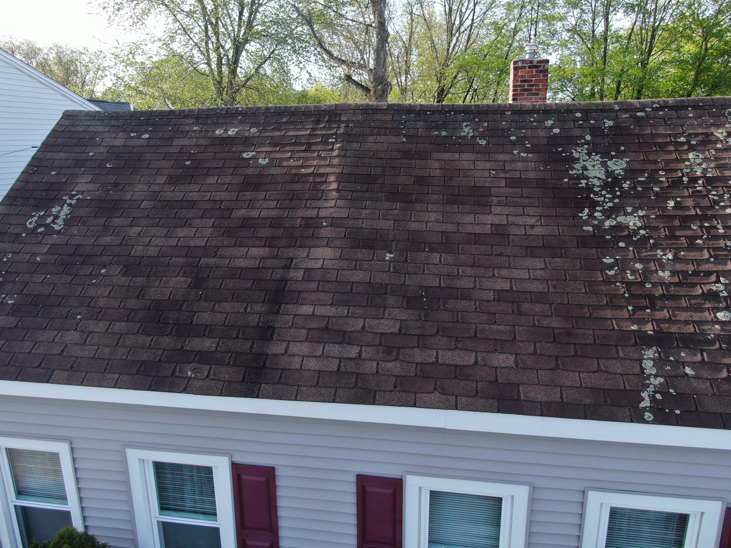 Roof Replacement with Owens Corning TruDefinition Shingles in Midnight Plum by Mighty Dog Roofing of Greater Middlesex County