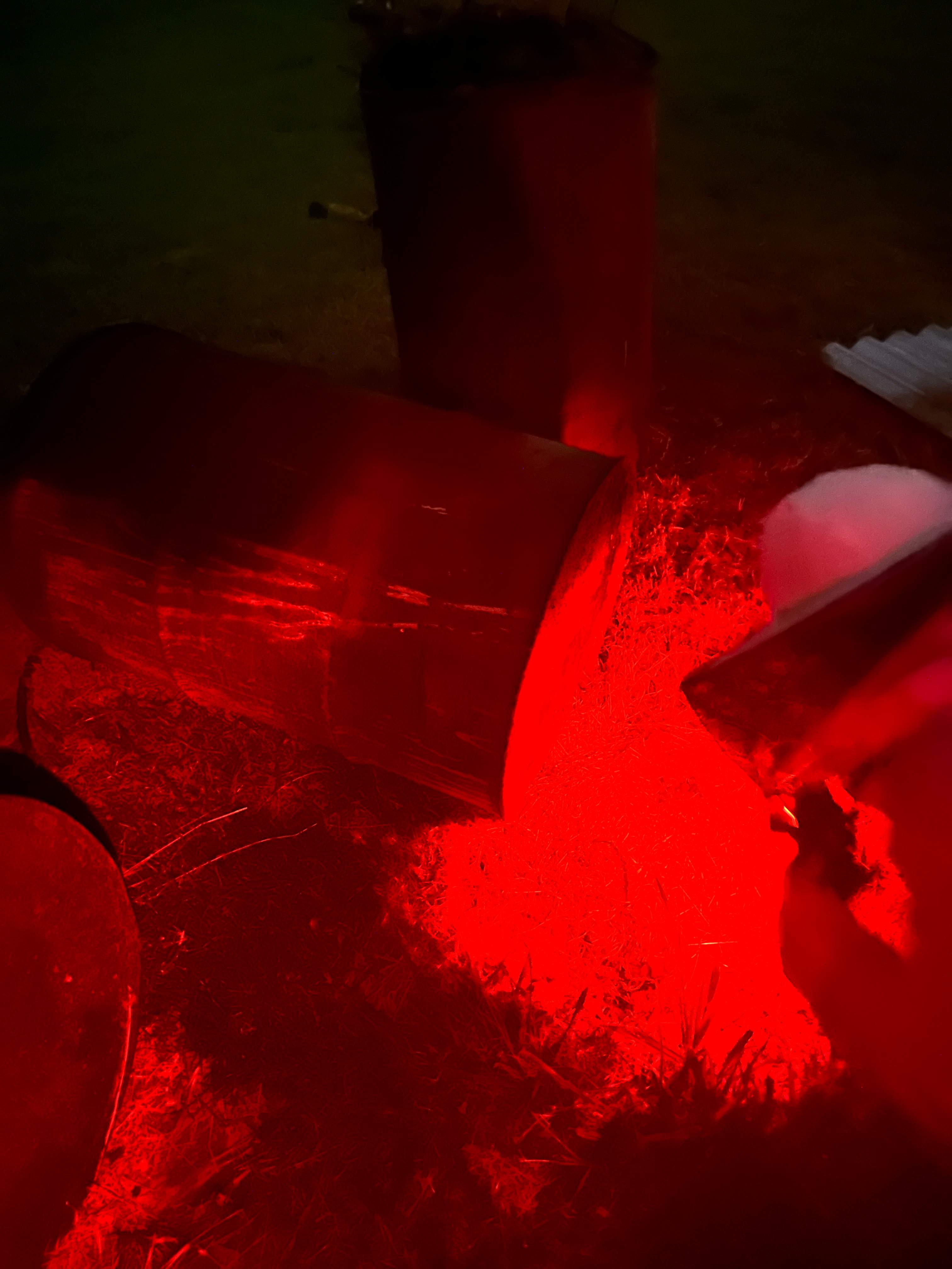 Bumblebees! by Rockwall Honey Bee Company