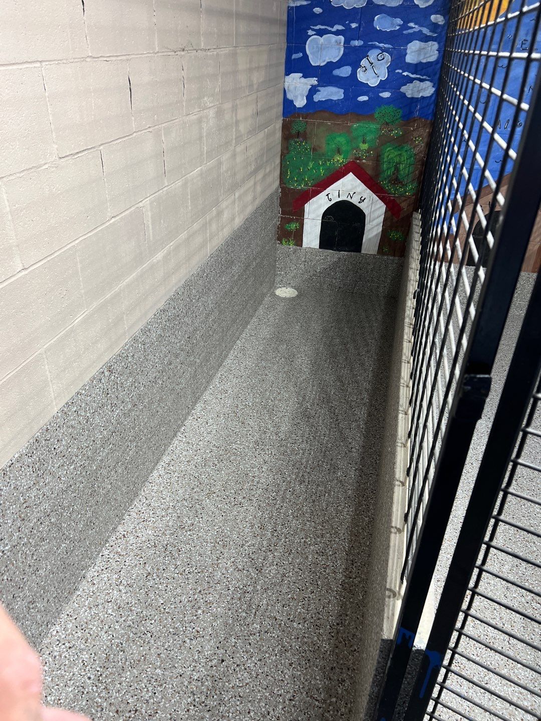 Animal Clinic by Granite Garage Floors