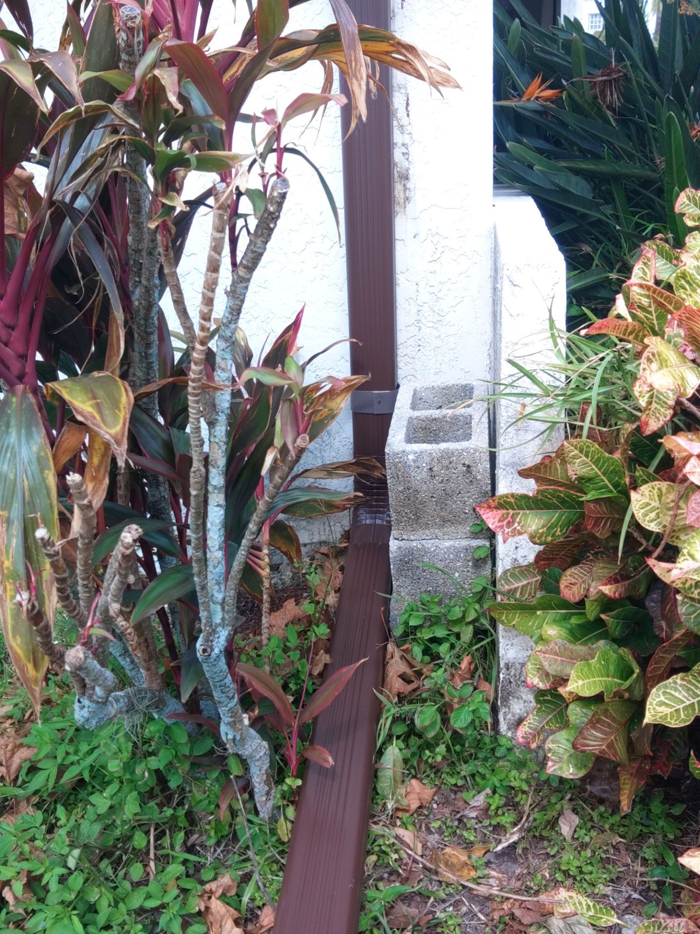 Brown Gutters in Cape Coral FL by Gutter Professors