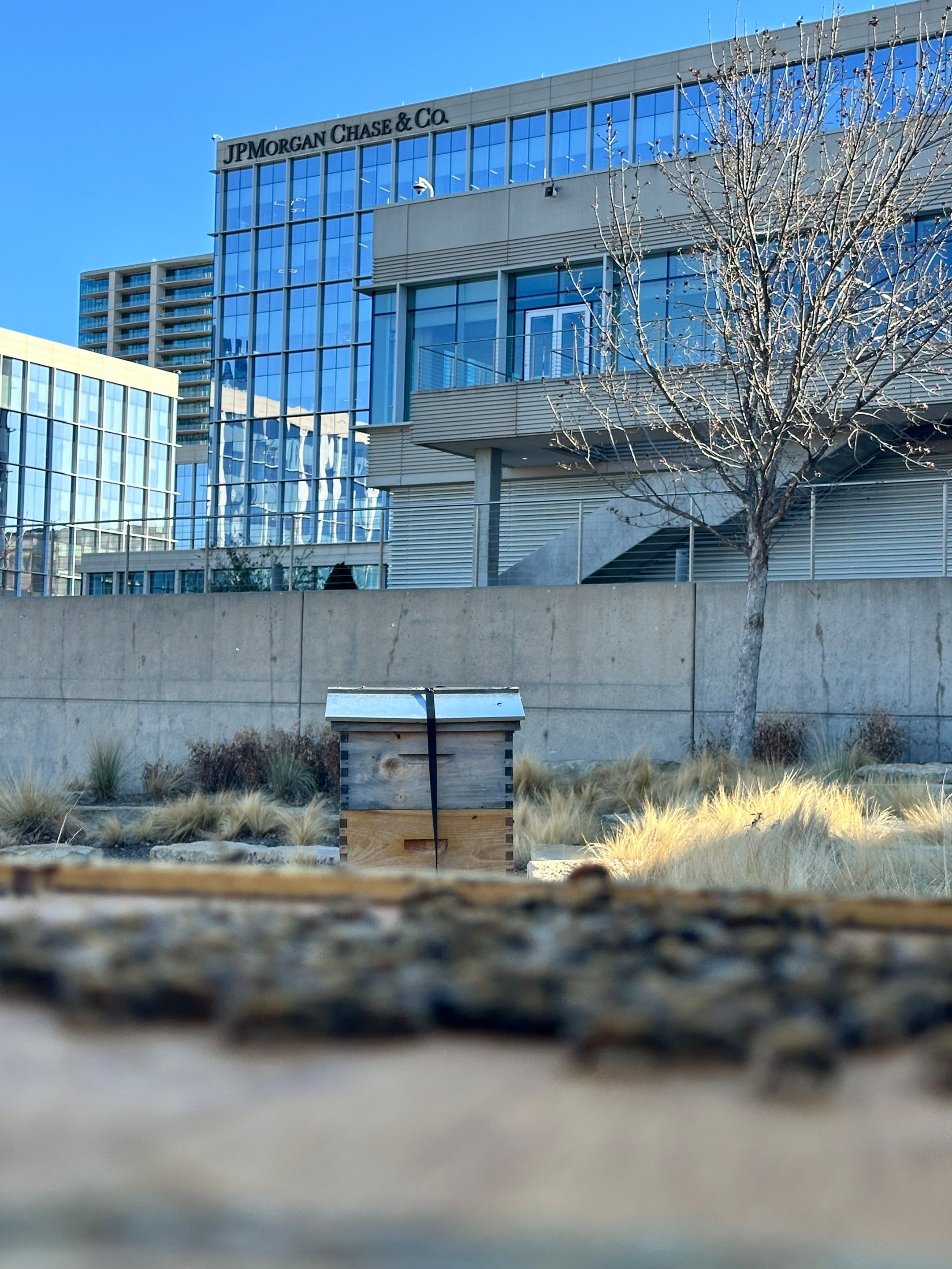 Frisco Corporate HQ by Rockwall Honey Bee Company