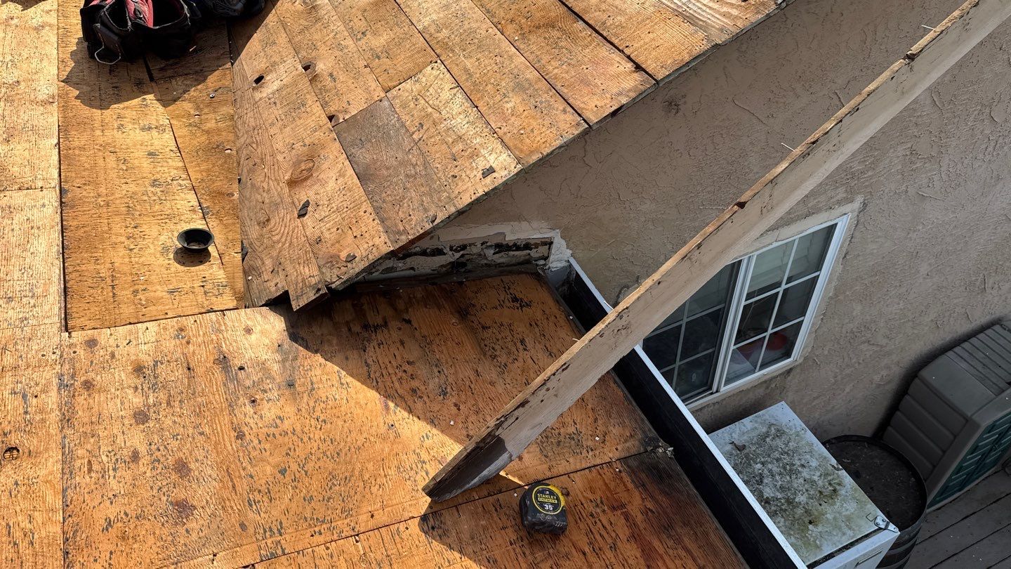 Willa Holmstock by NuLead Construction Inc