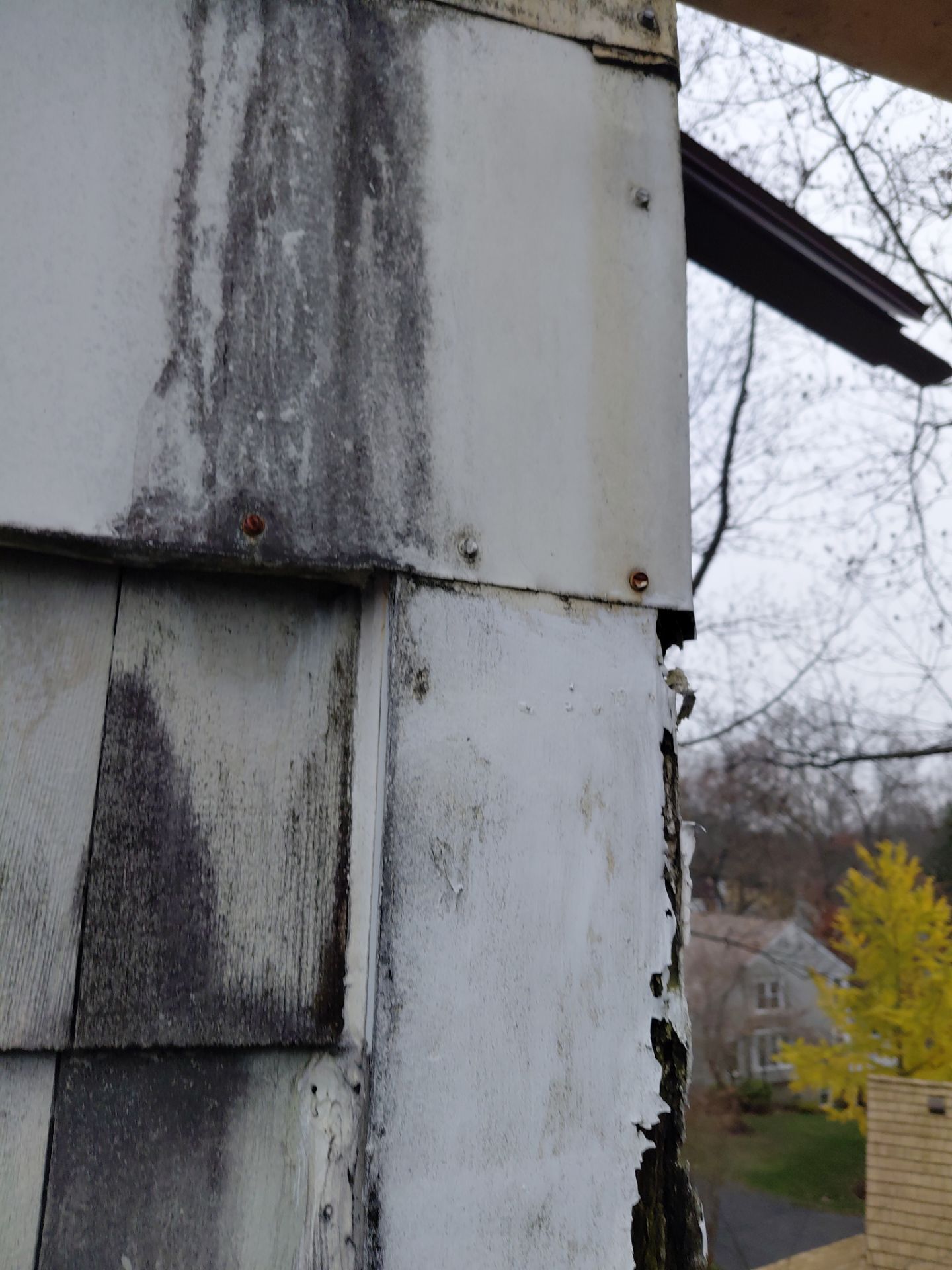 Reston :  Residential Roof Replacement with Brava Synthetic Cedar Shake Class C Natural  by RM Banning, Inc.