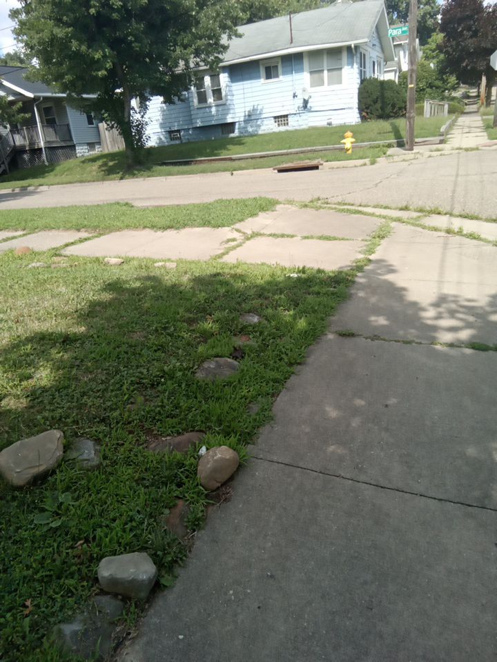 Tree Removal using Tree Removal by Mike Jones & Sons Tree Service LLC 