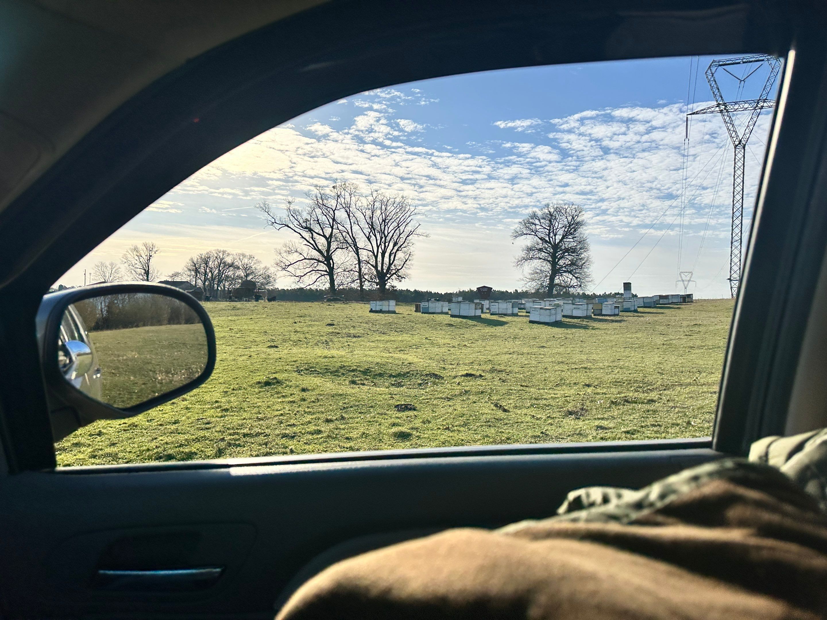 Clubb's Cow Farm Apiary by Rockwall Honey Bee Company