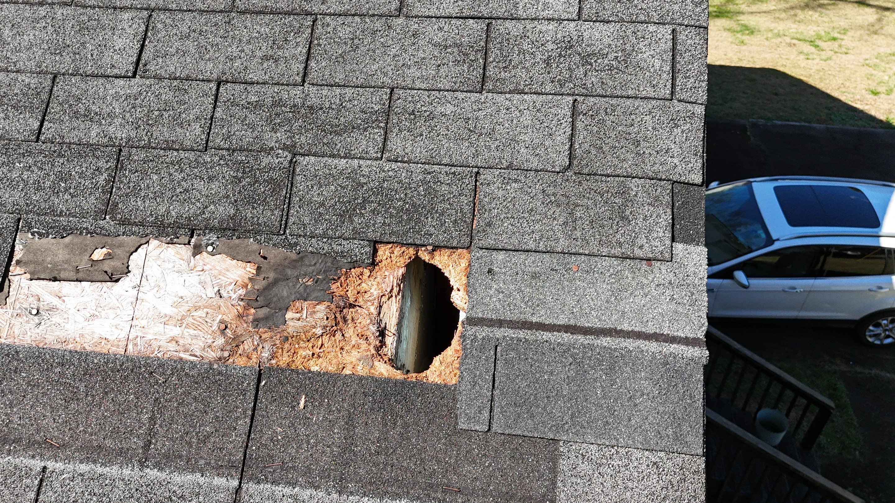 Rotten Wood by Roof Bullies