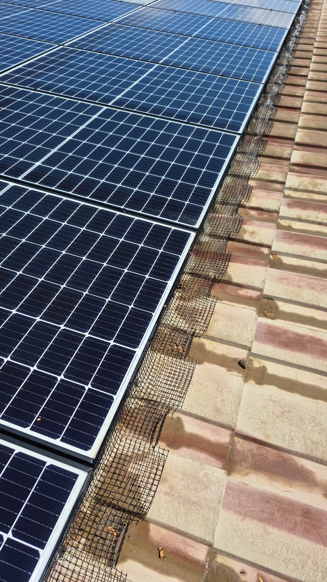 Single story netting. by Solar Honest Cleaning 