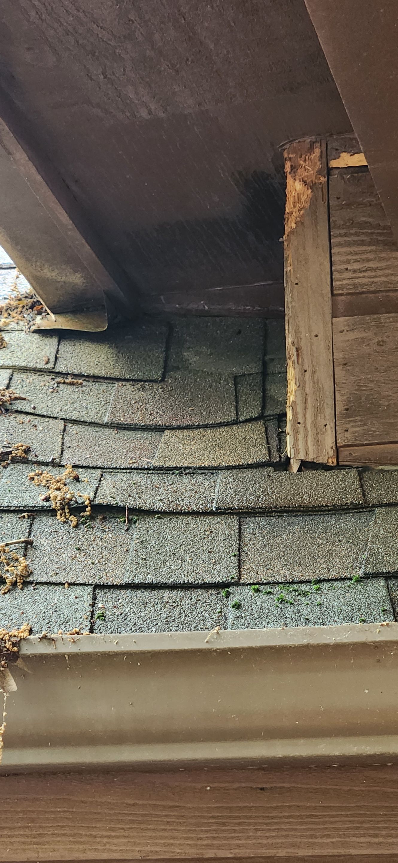 Residential Reroof: 40 Year Impact Rated Architectural Shingles by Hostetler Roofing
