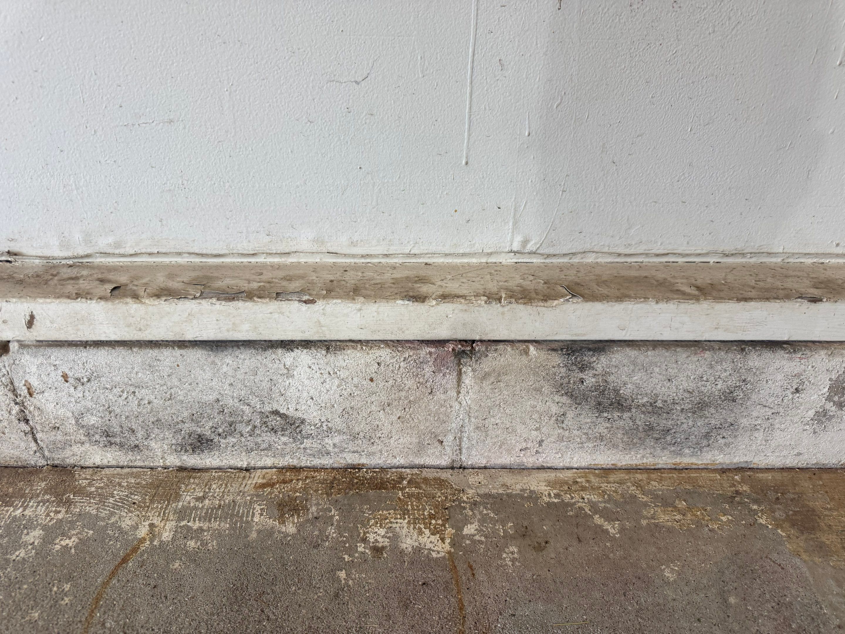 Multi-Colored Epoxy Flake Garage Floor Installation in Fruitport by Gordon Painting