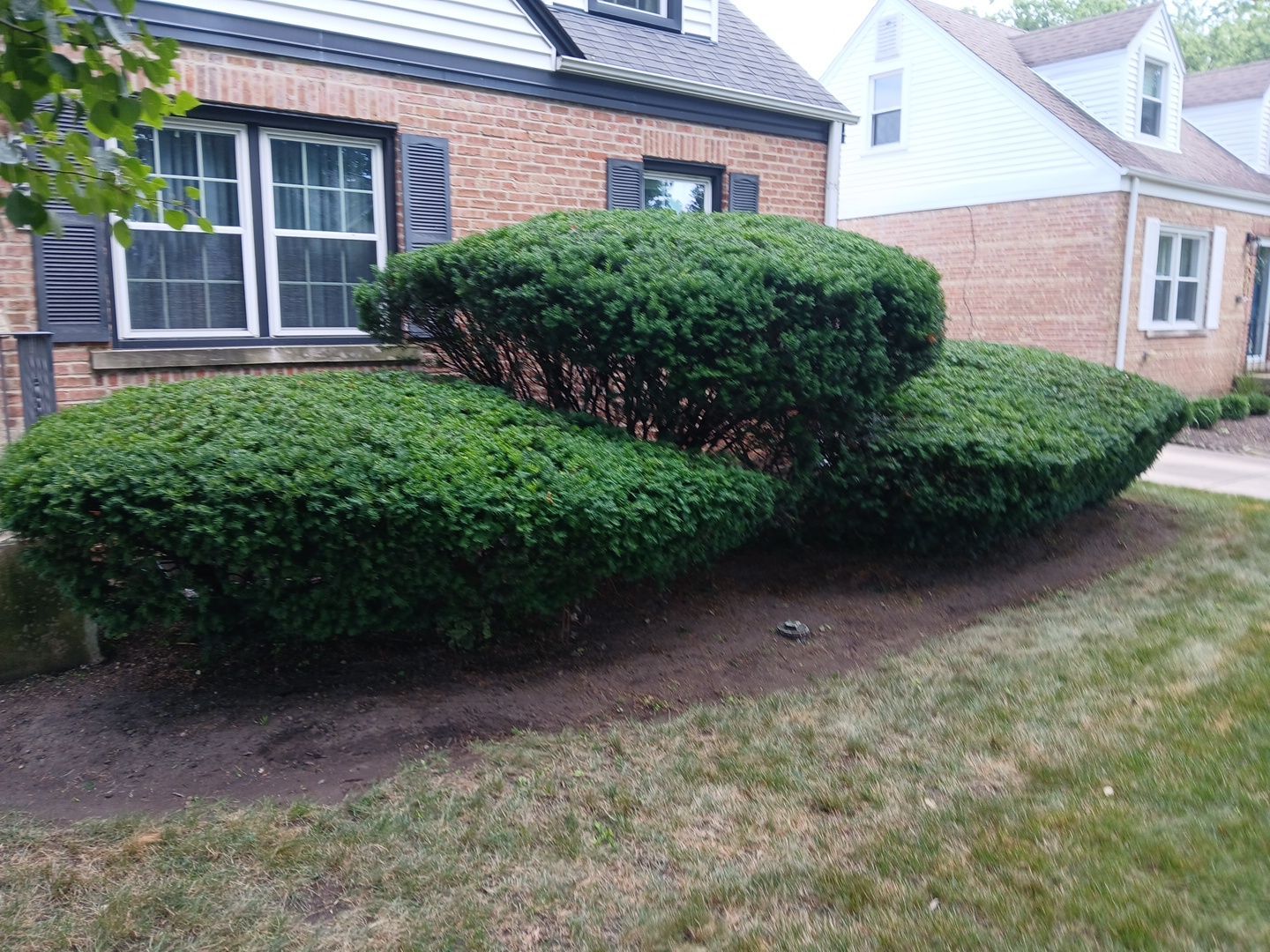 Catherine B. - Mount Prospect, IL by A&N