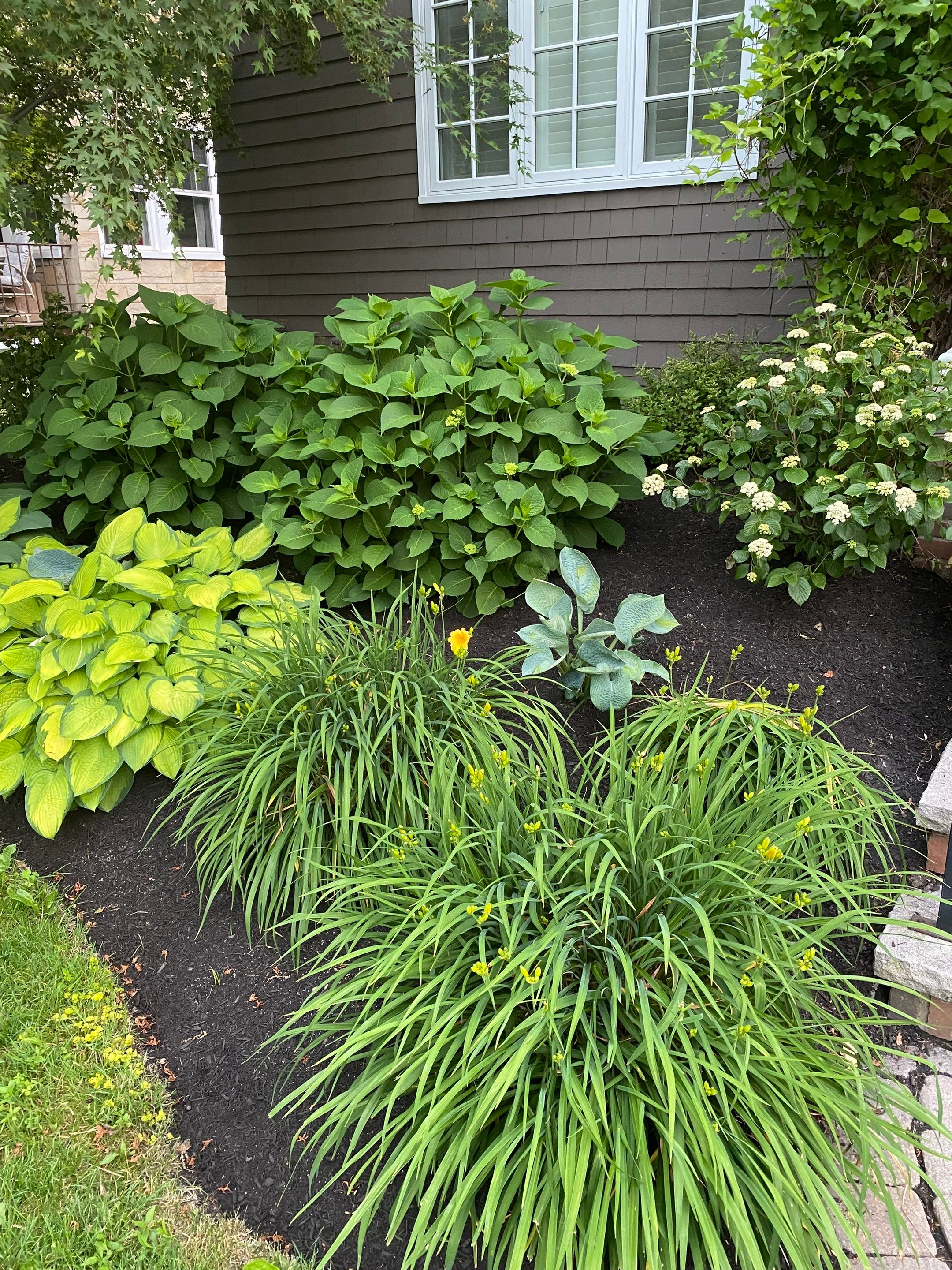 Pollinator Paradise Project by Elm Rose Gardens