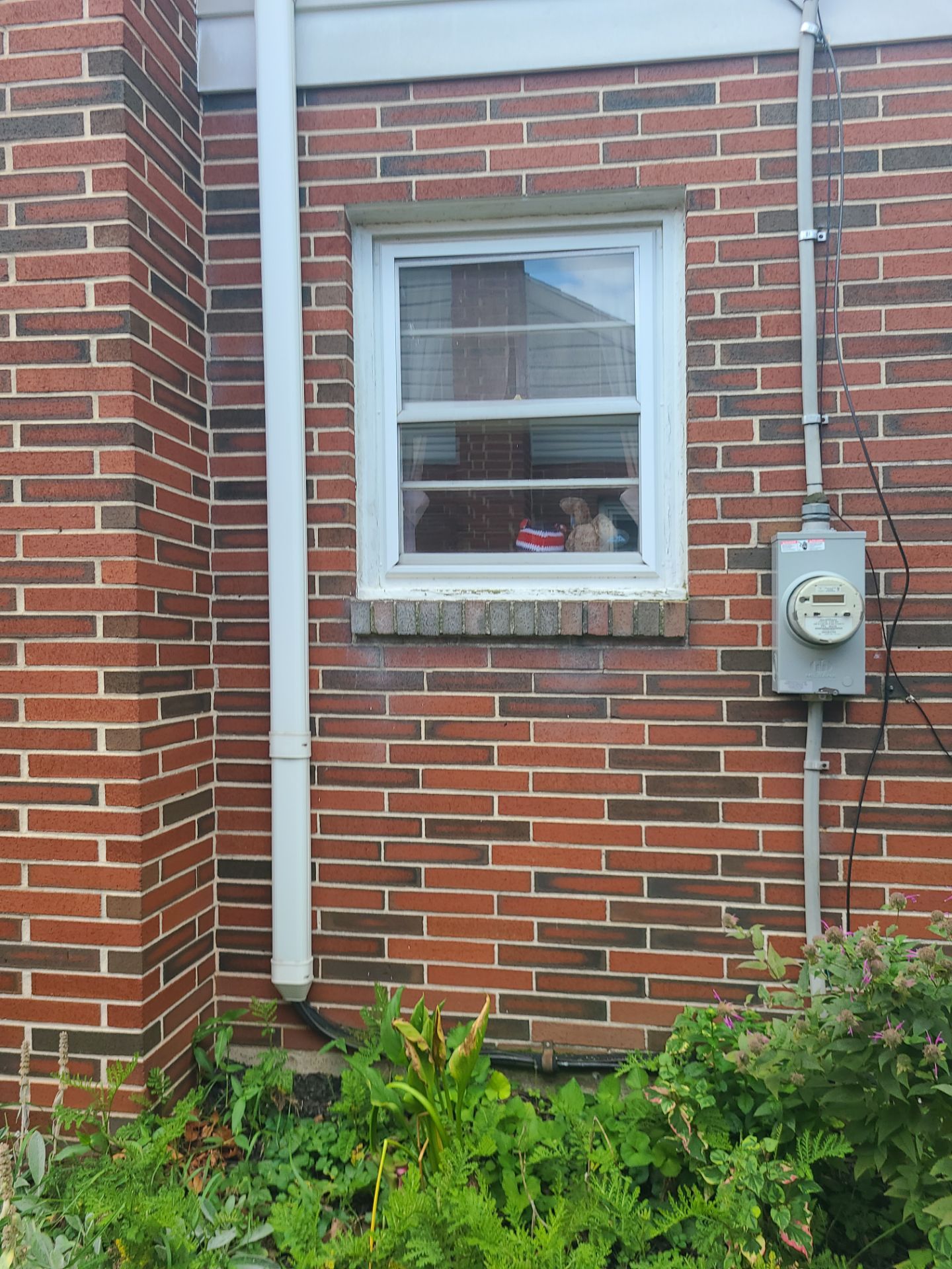 Twin Double Hung Units by Aspen Home Improvements