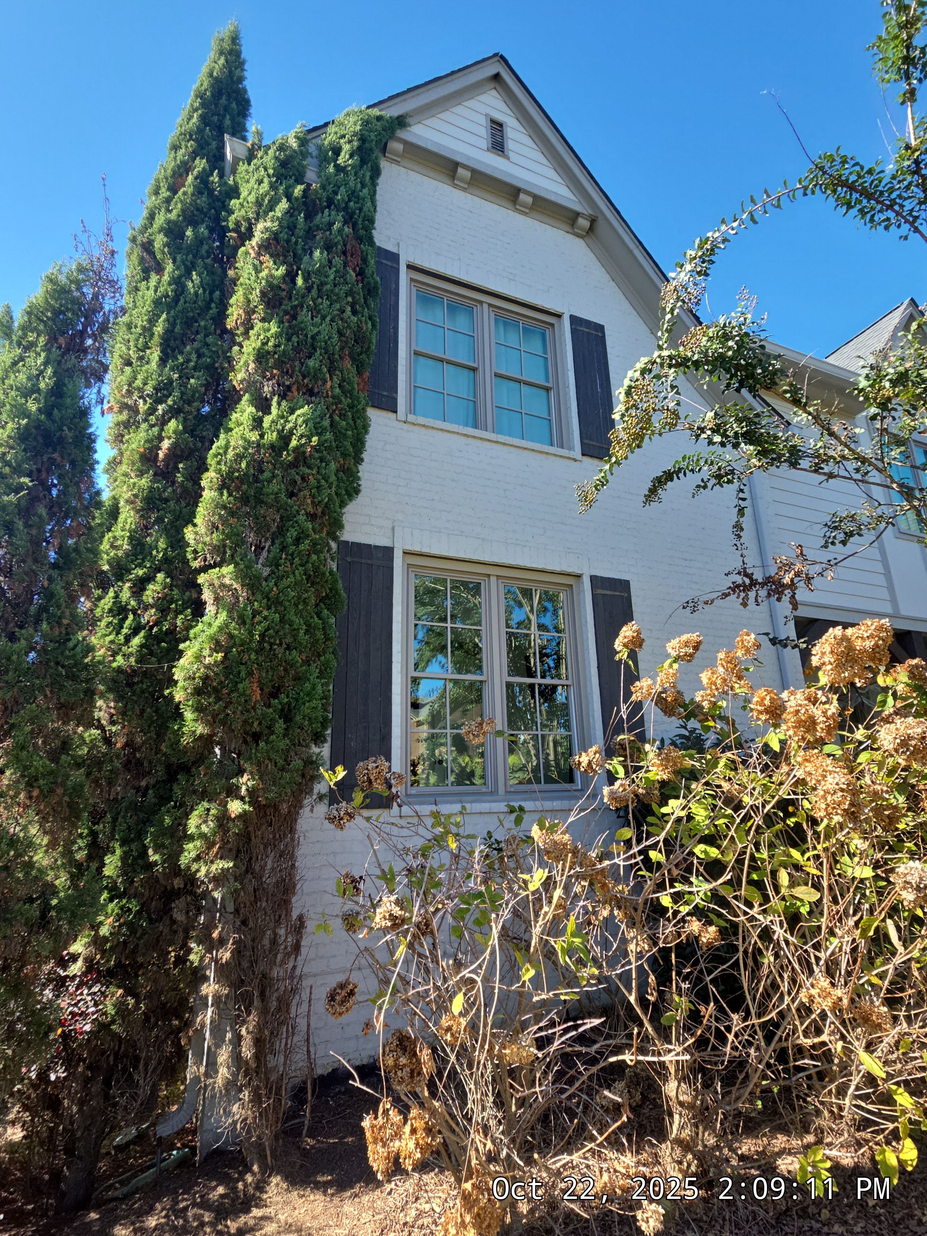 Kothary Project in Vestavia Hills by The Window Source