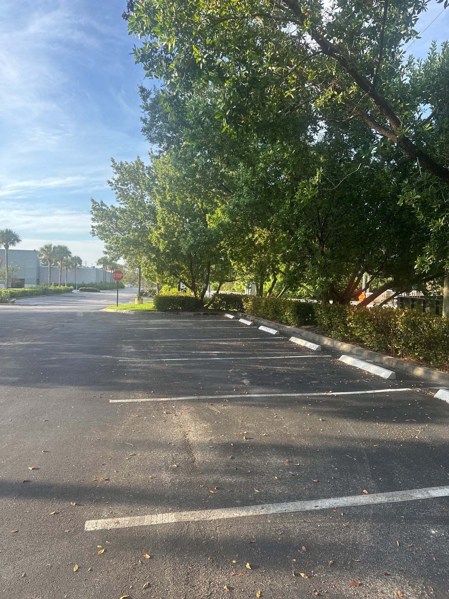 🛏️ City Mattress Refresh — Jensen Beach by Alpha Zeta Enterprises Inc