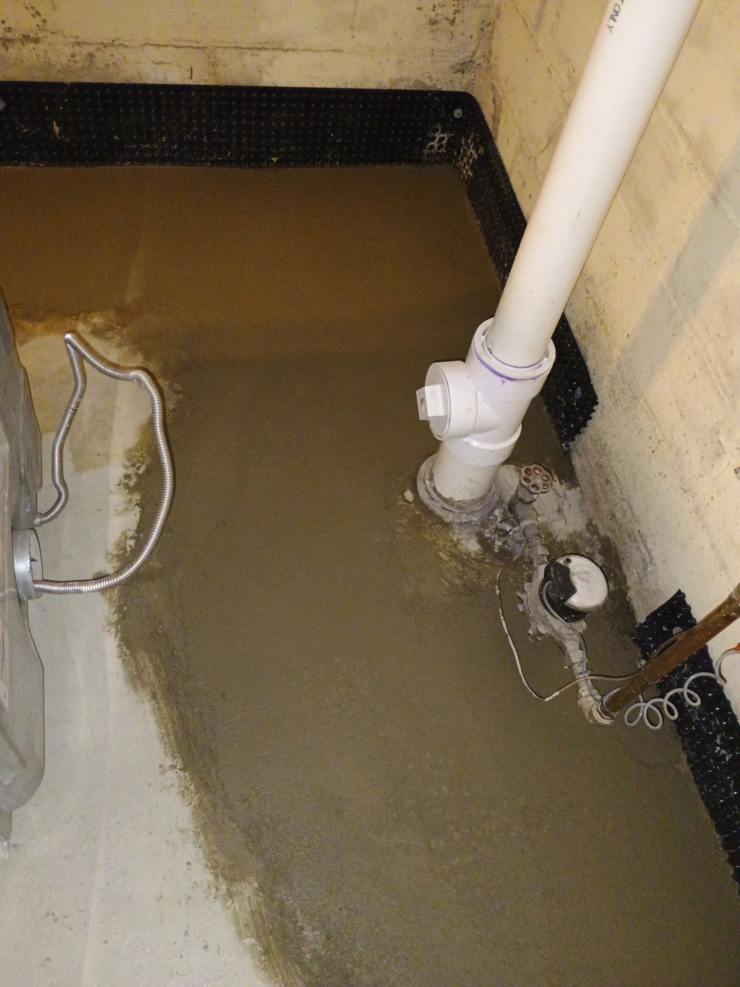 Abigail's New Home by Waterproofing Northeast