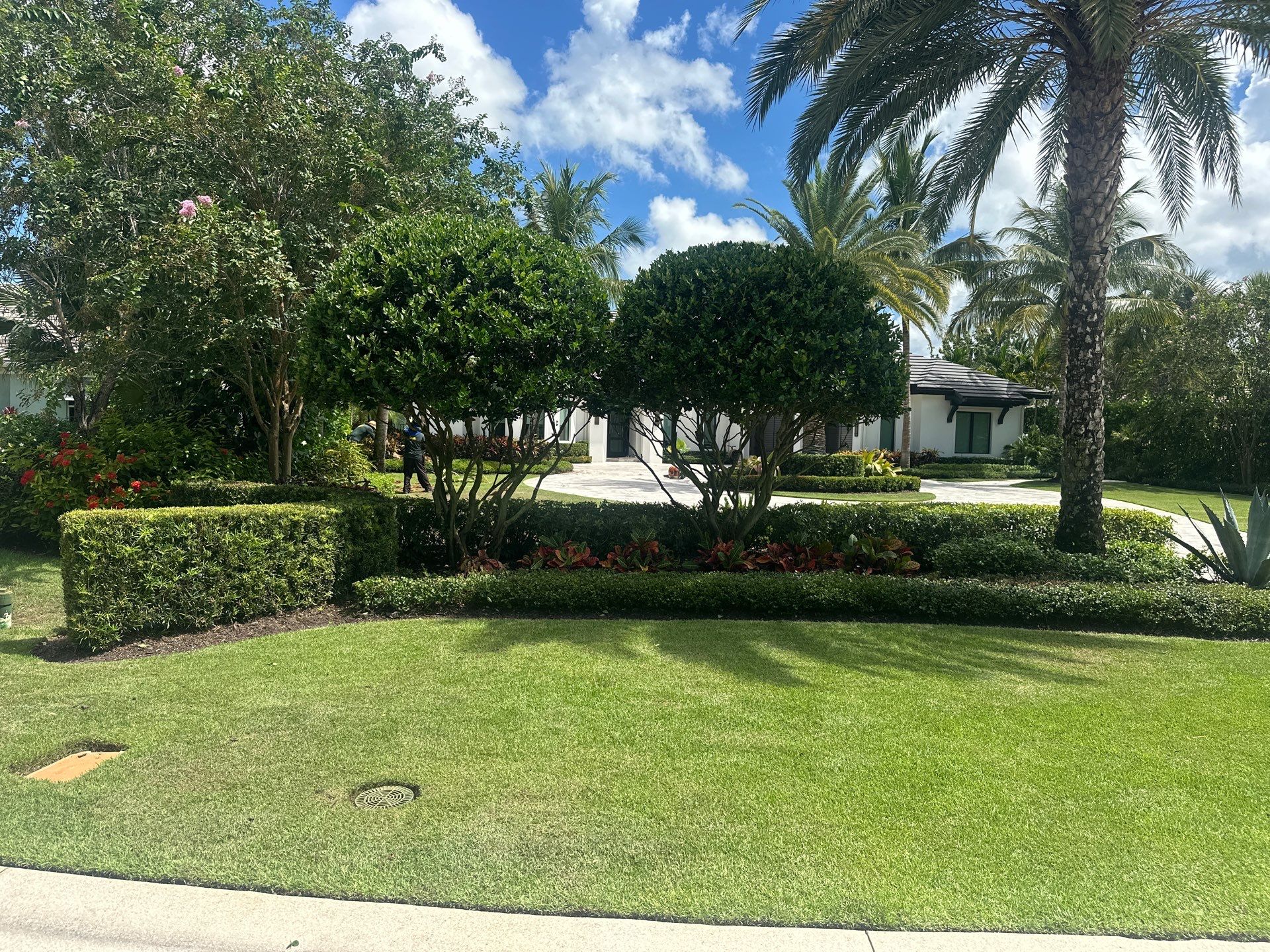 Highlands Reserve Refresh β Precision, Planting & Perfection by Alpha Zeta Enterprises Inc