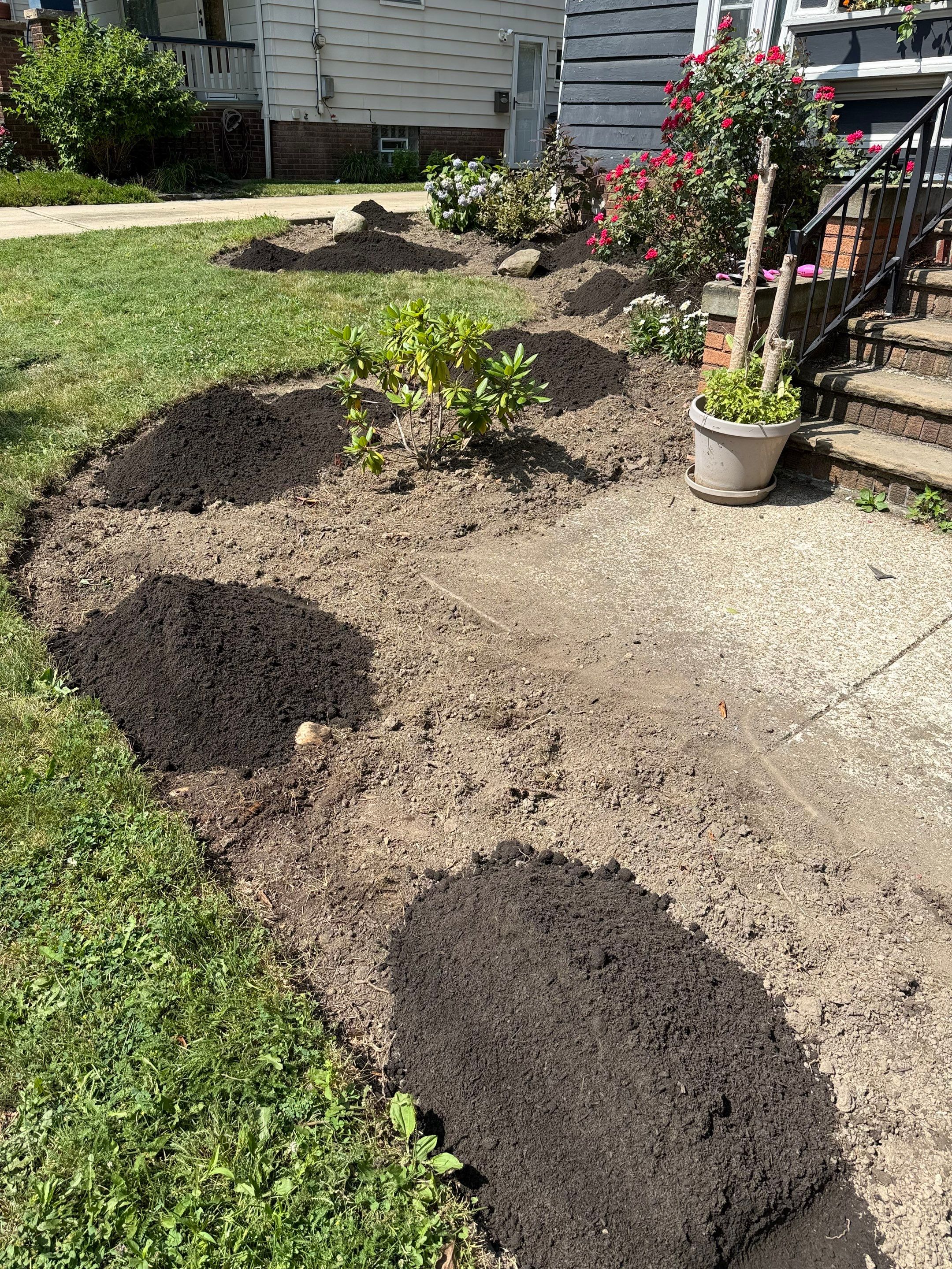 Tottenham Cottage Project by Elm Rose Gardens