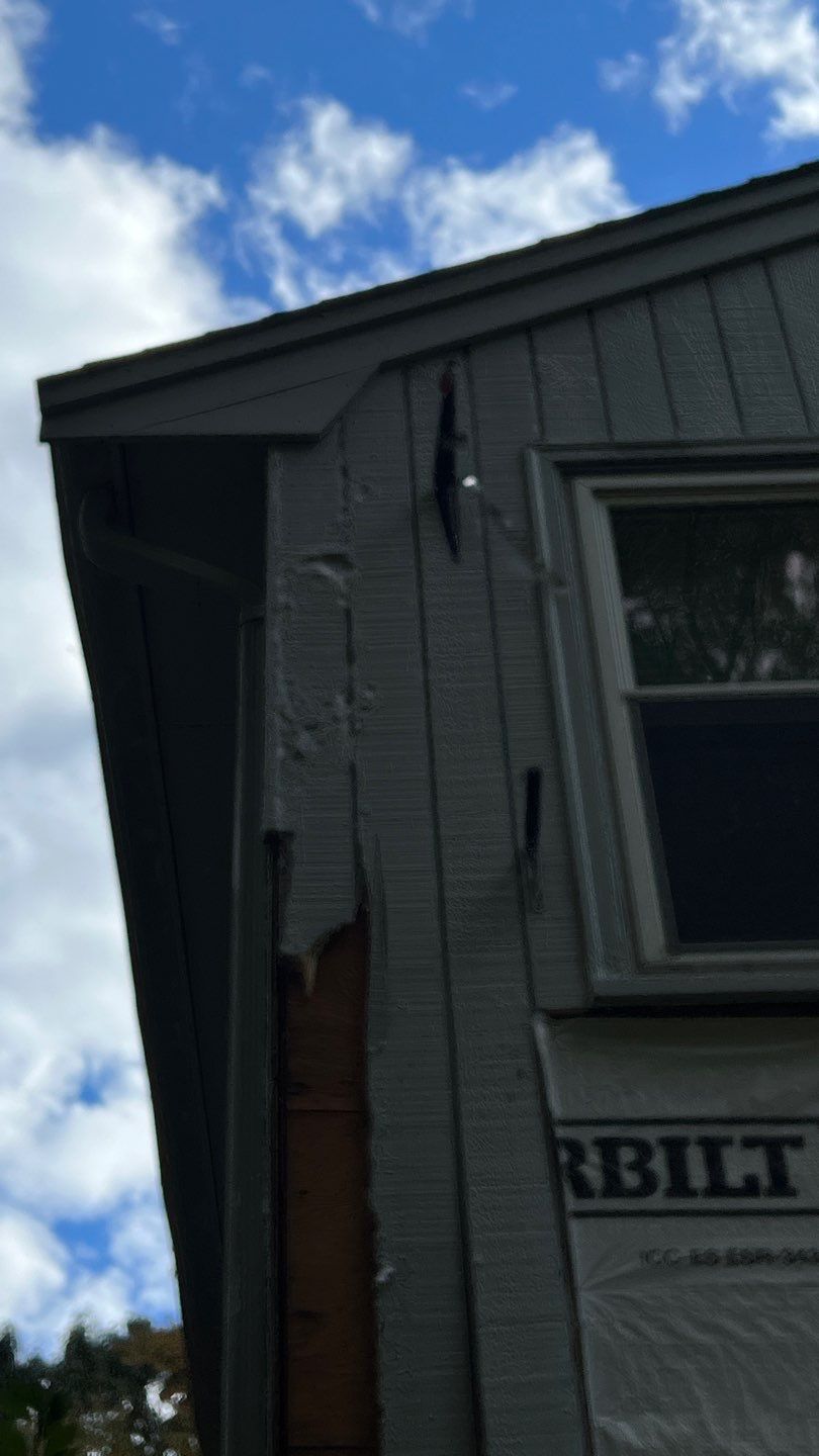 Exterior Painting and Repairs  by EXCELLENCE | CARTO