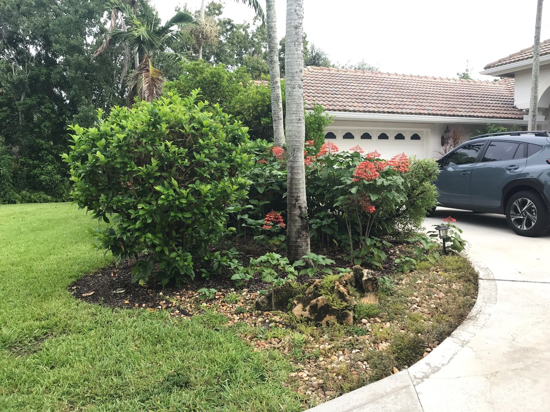 🌴 Landscape Removal and Install in Palm City by Alpha Zeta Enterprises Inc