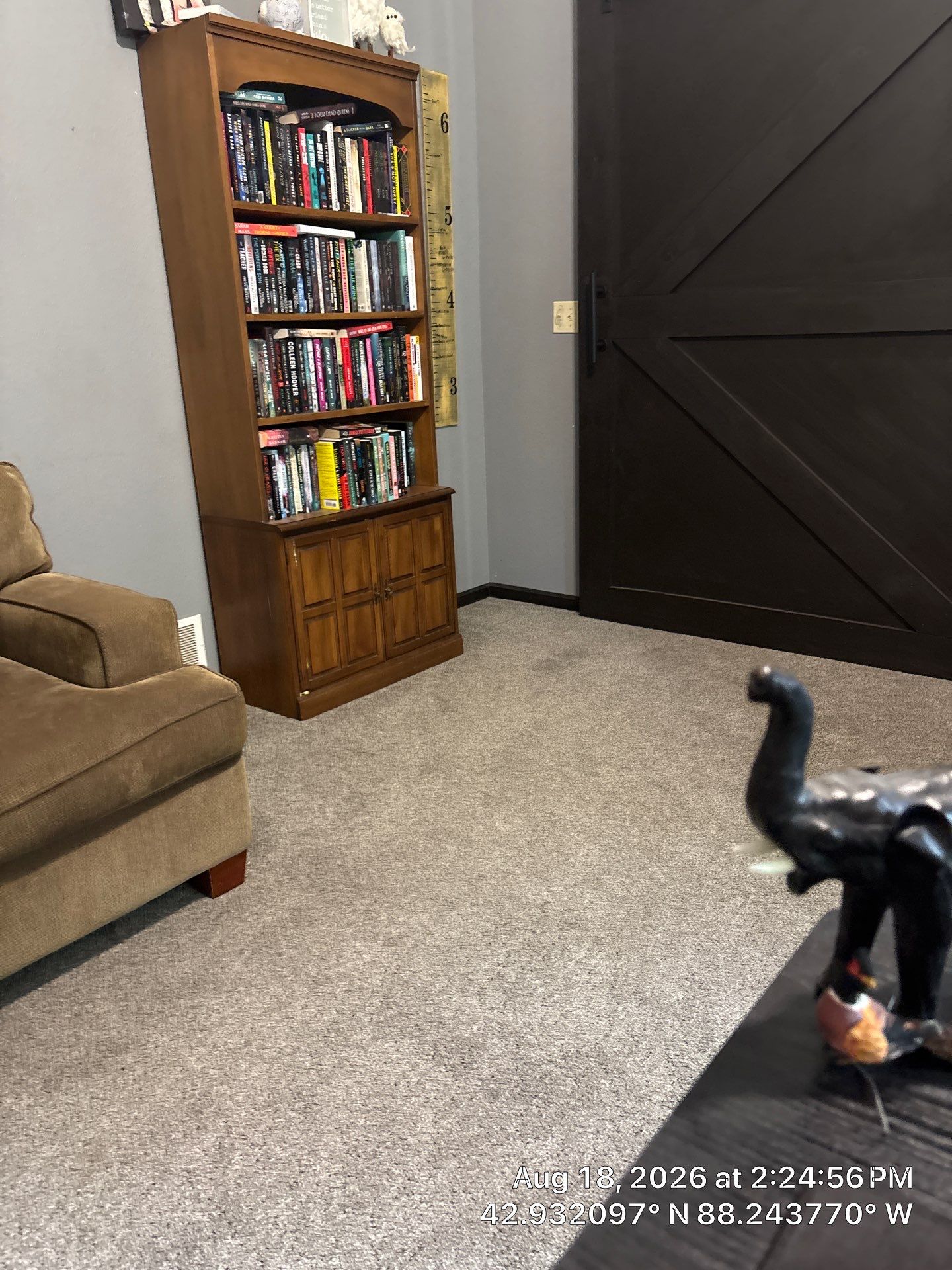 Custom Dark Wood Sliding Barn Door Installation in Waukesha by CompanyCam Sales Demo