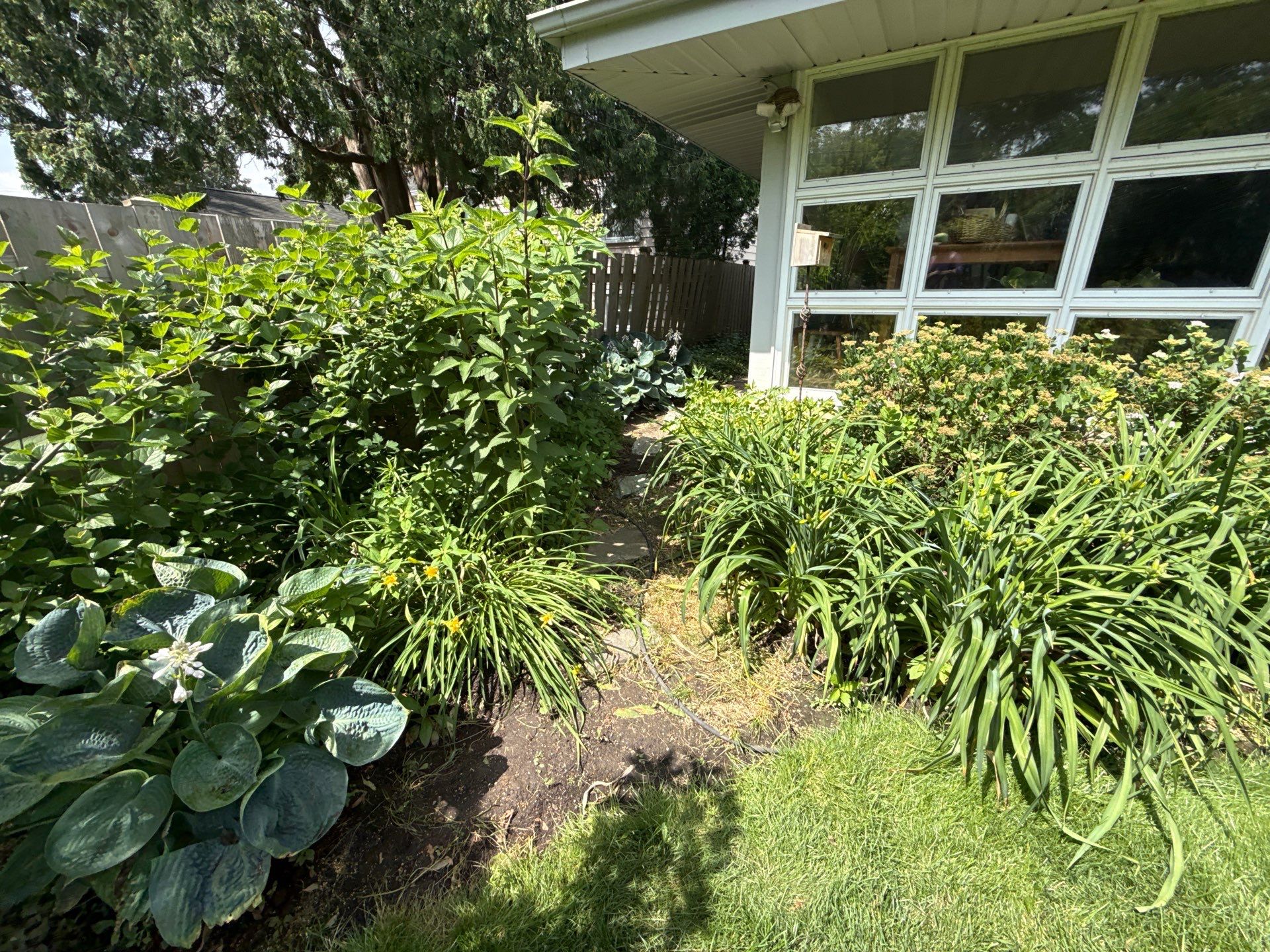 Cheris B. - Mount Prospect, IL by A&N 