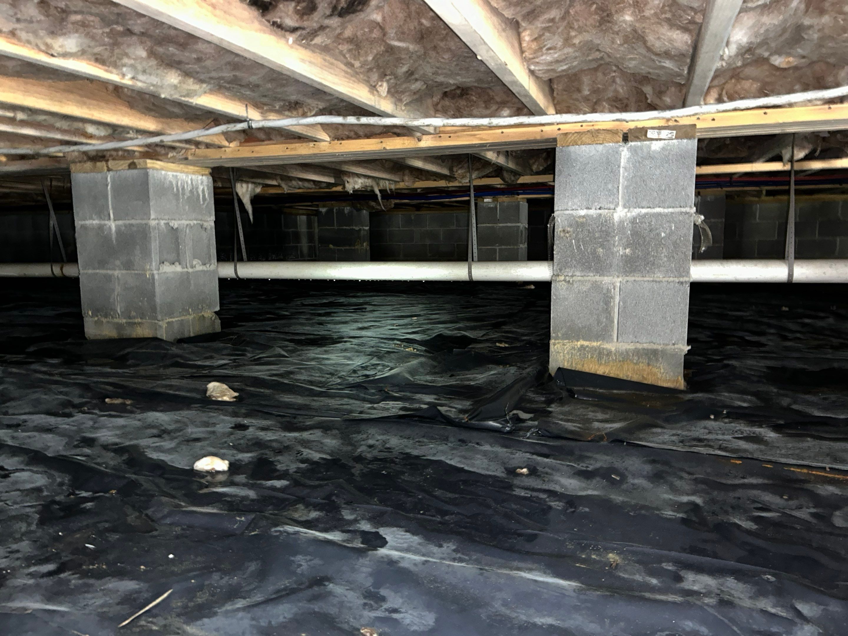 Premium Encapsulation with 20Mil, Borafoam insulation and Light System. by Impact Crawlspace