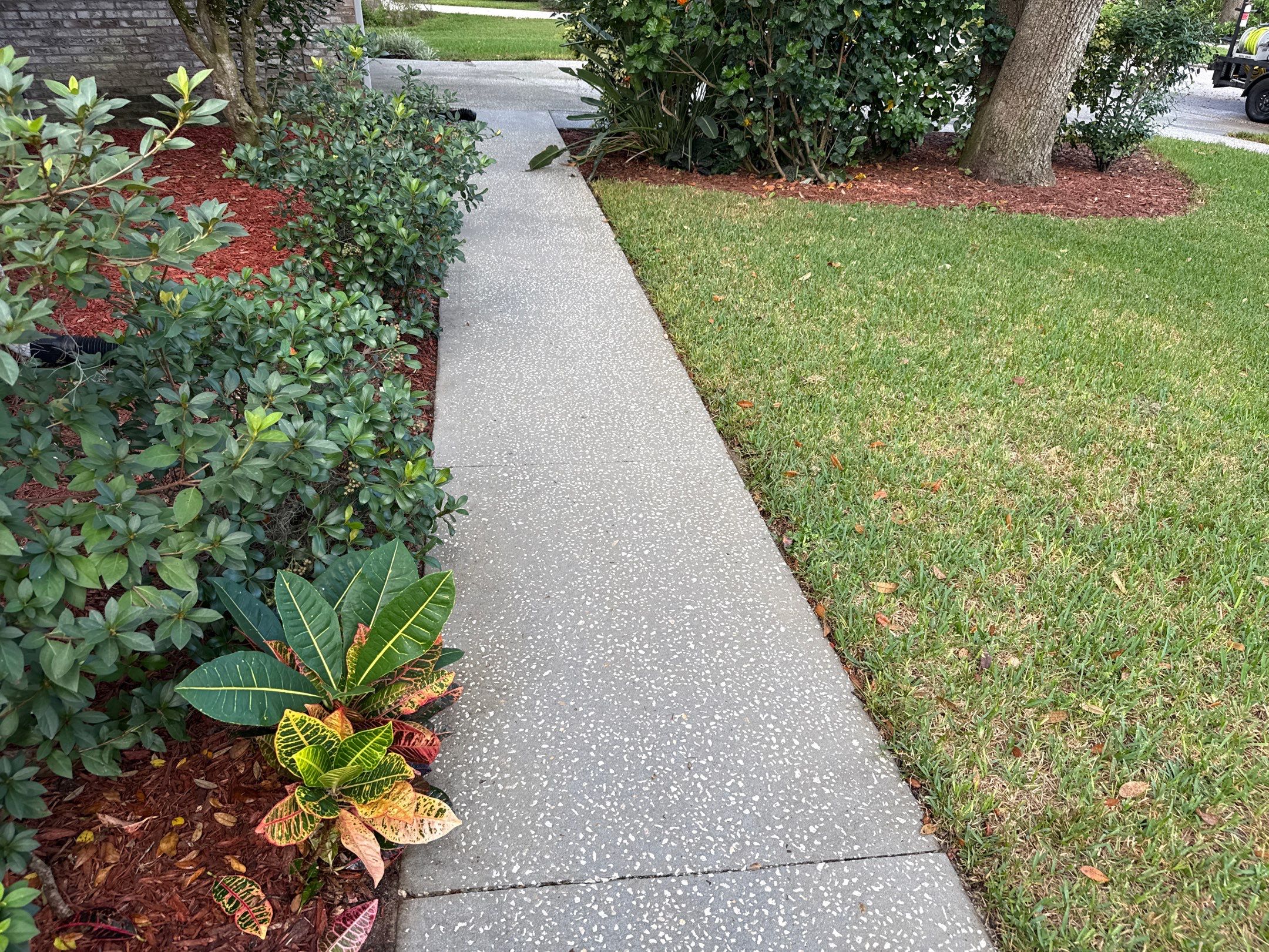 Concrete Driveway & Sidewalk Cleaning in Valrico, FL by Sunshine AquaWash