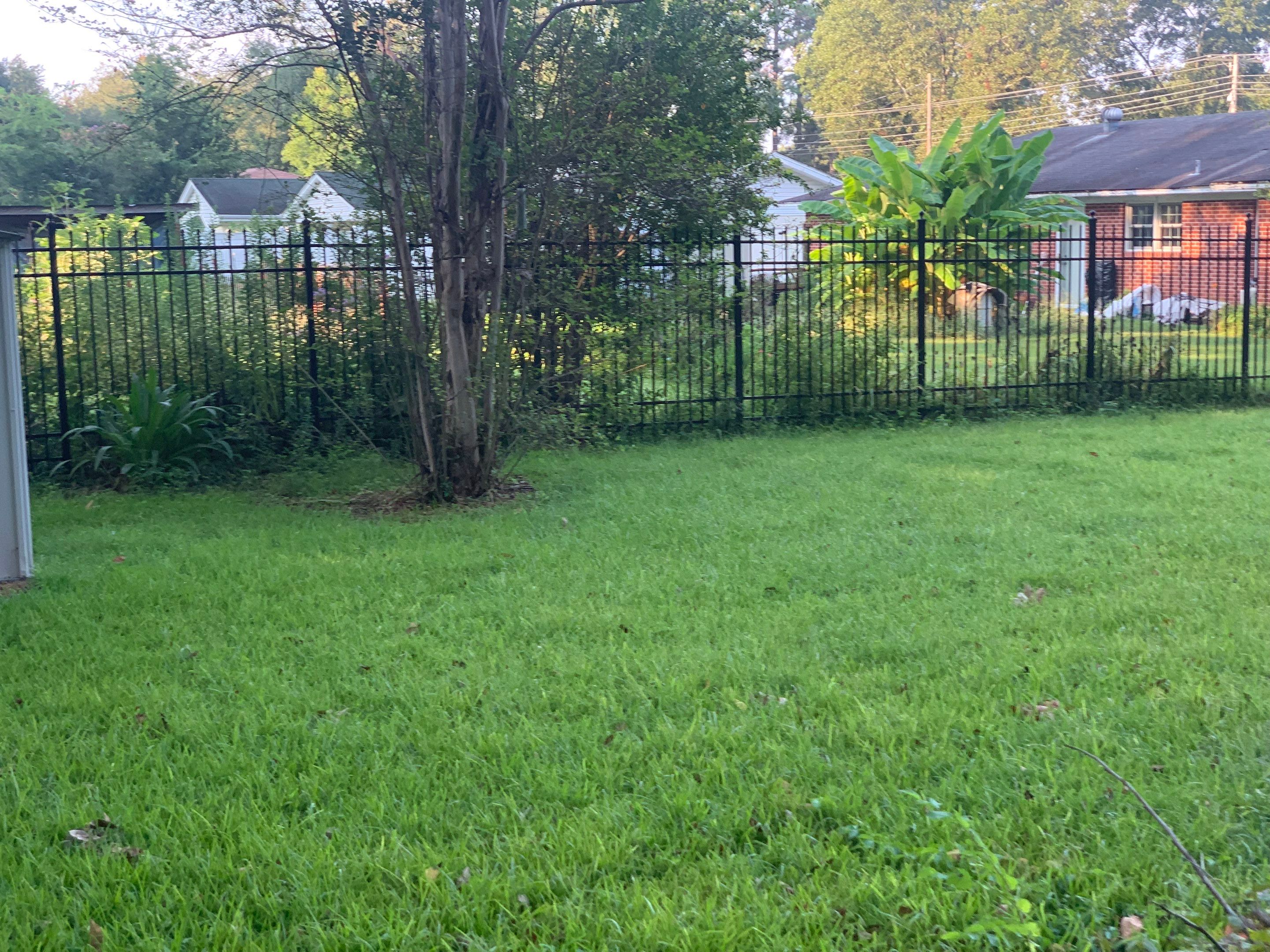Yard Makeover by College Bros Outdoor services