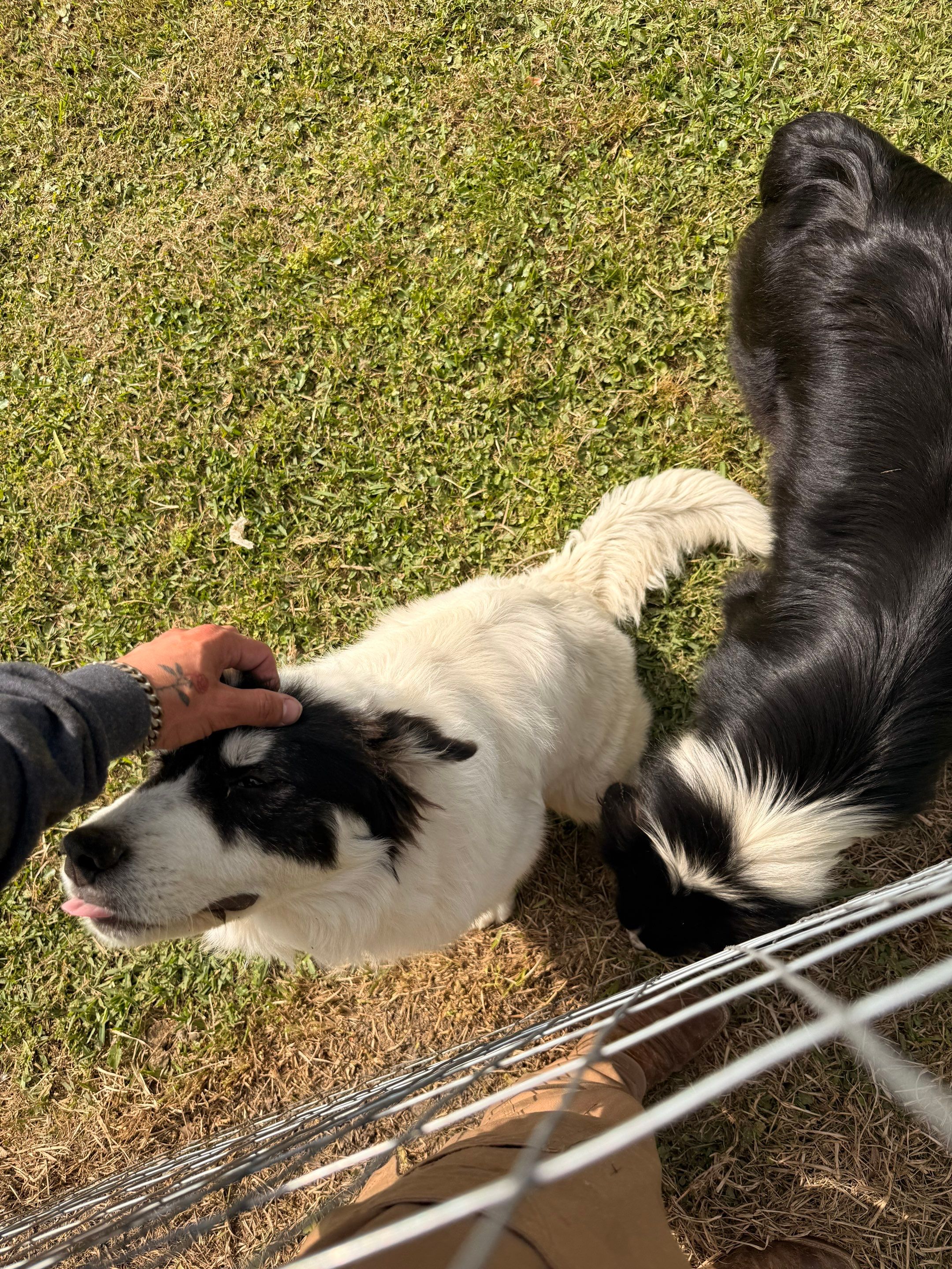 26-Gauge Standing Seam Metal Roof Replacement | Pass Christian, MS by Frontline Roofing