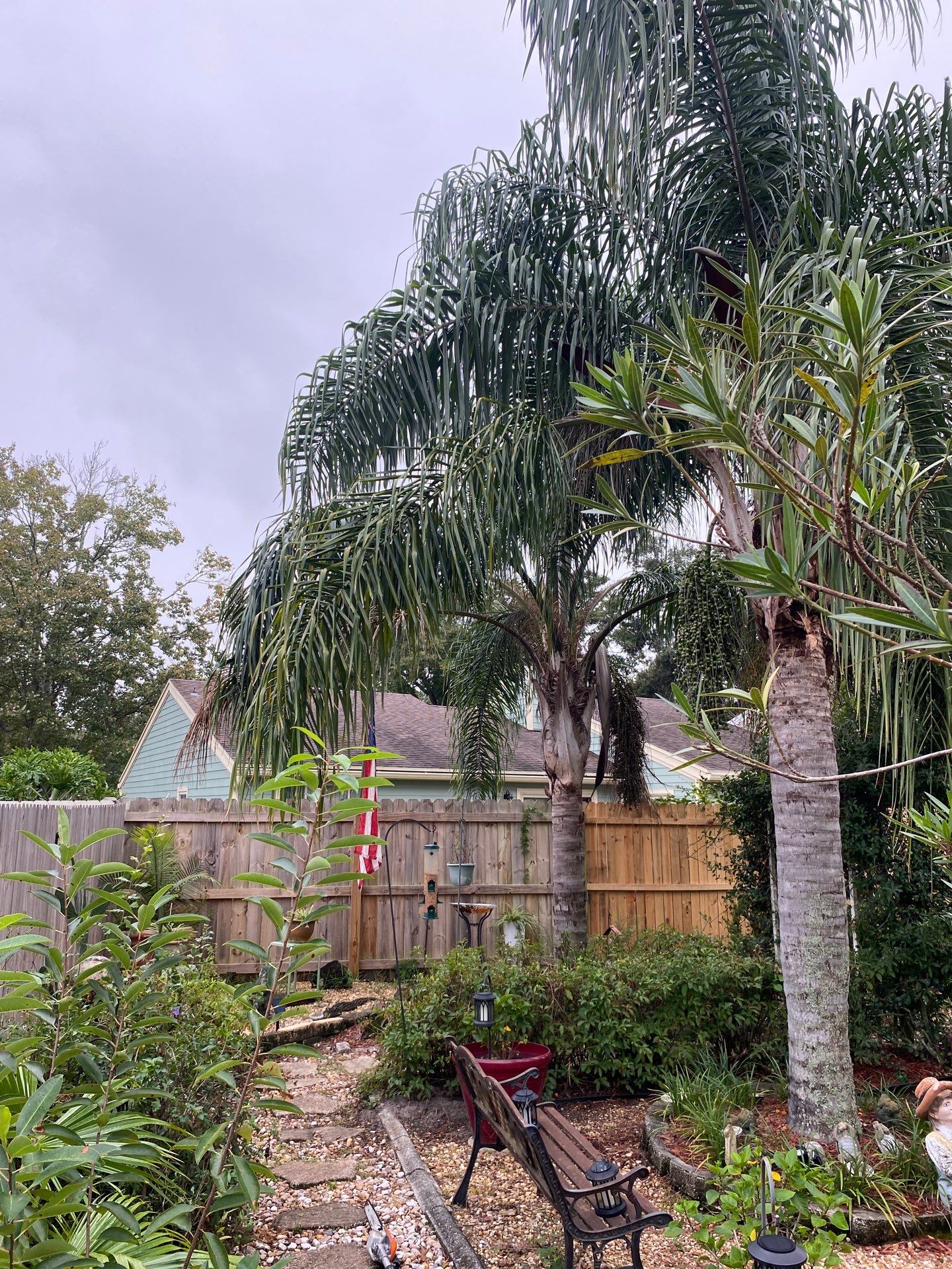 Tree Trimming | Residential by ProGreen Services