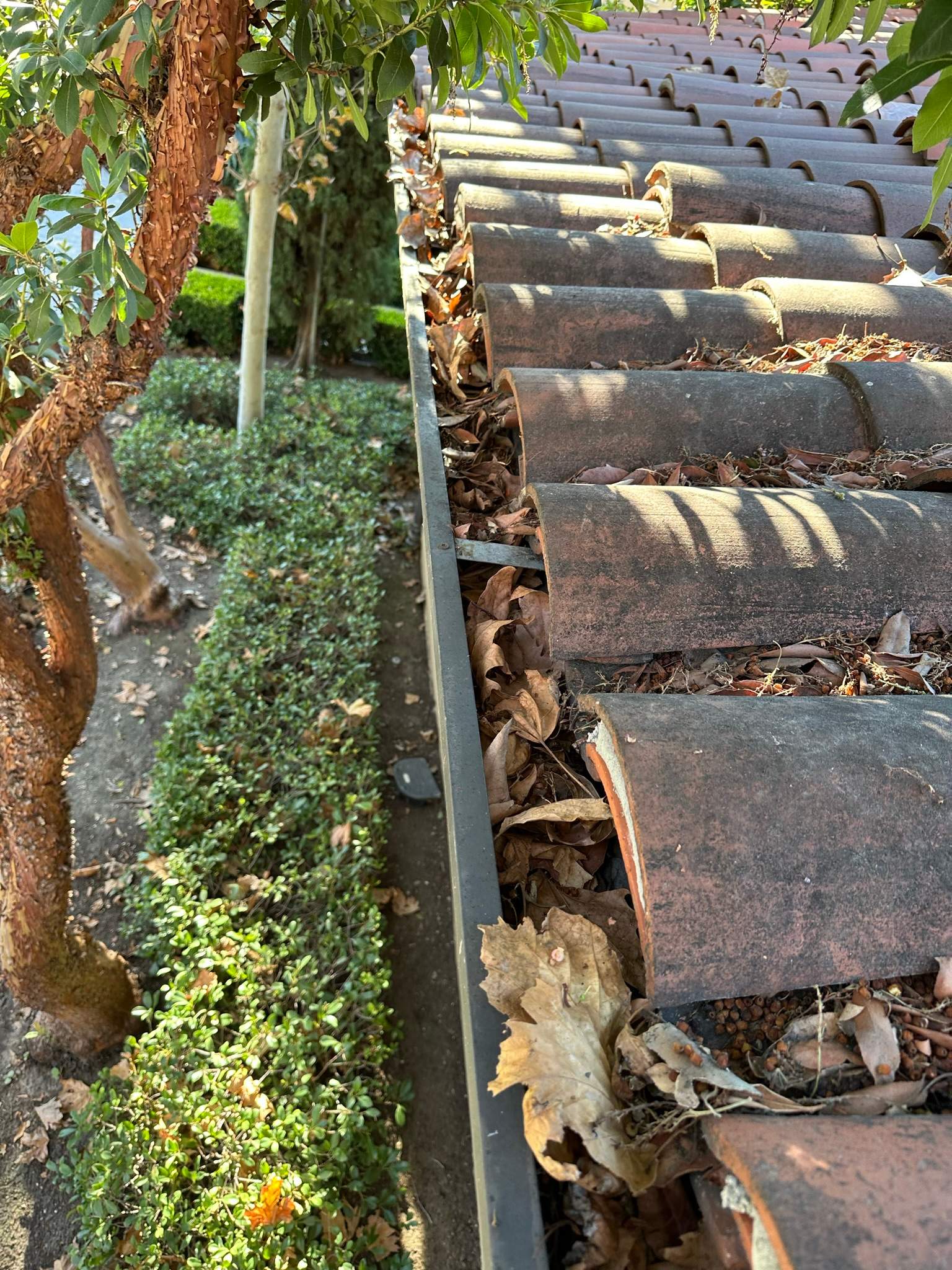 Orange County Gutter Cleaning by Property Cleaning Experts