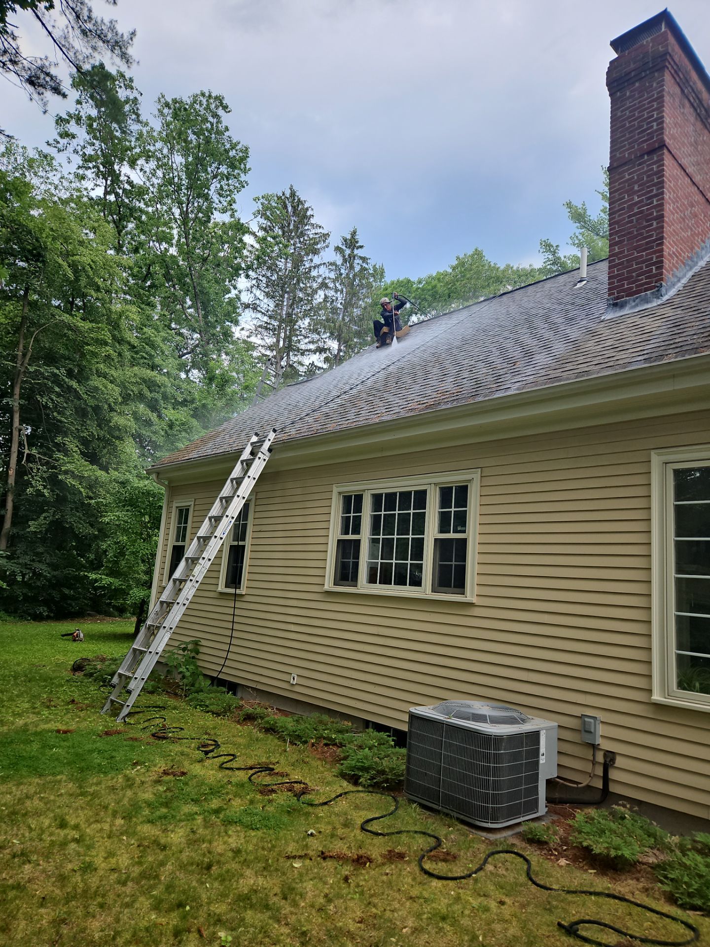 Roof Cleaning | Concord by Mighty Dog Roofing of Greater Middlesex County
