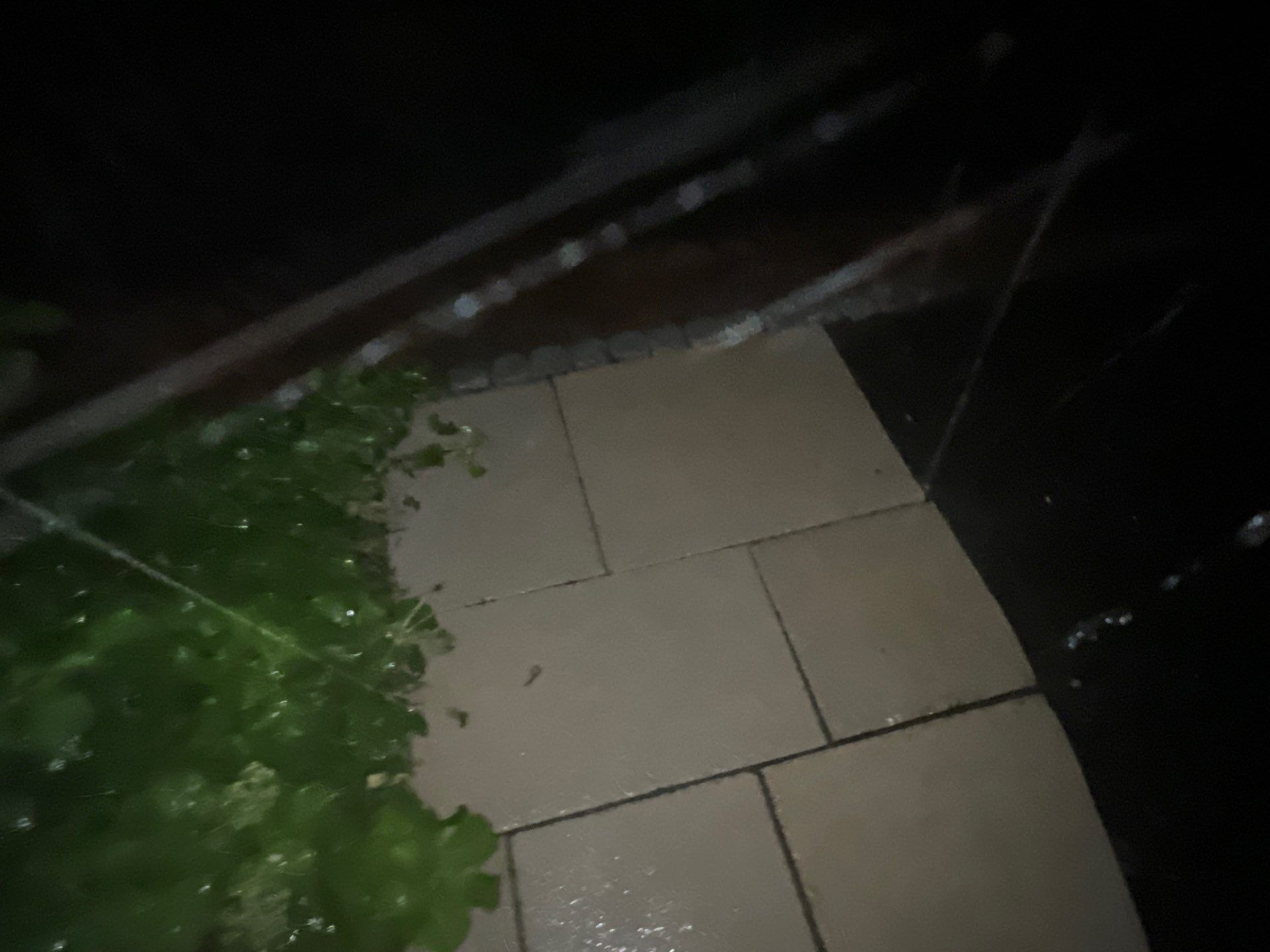 Brick paver clean, sand and seal.  using Algaecide, soft wash soap by Northern Power Washing LLC.
