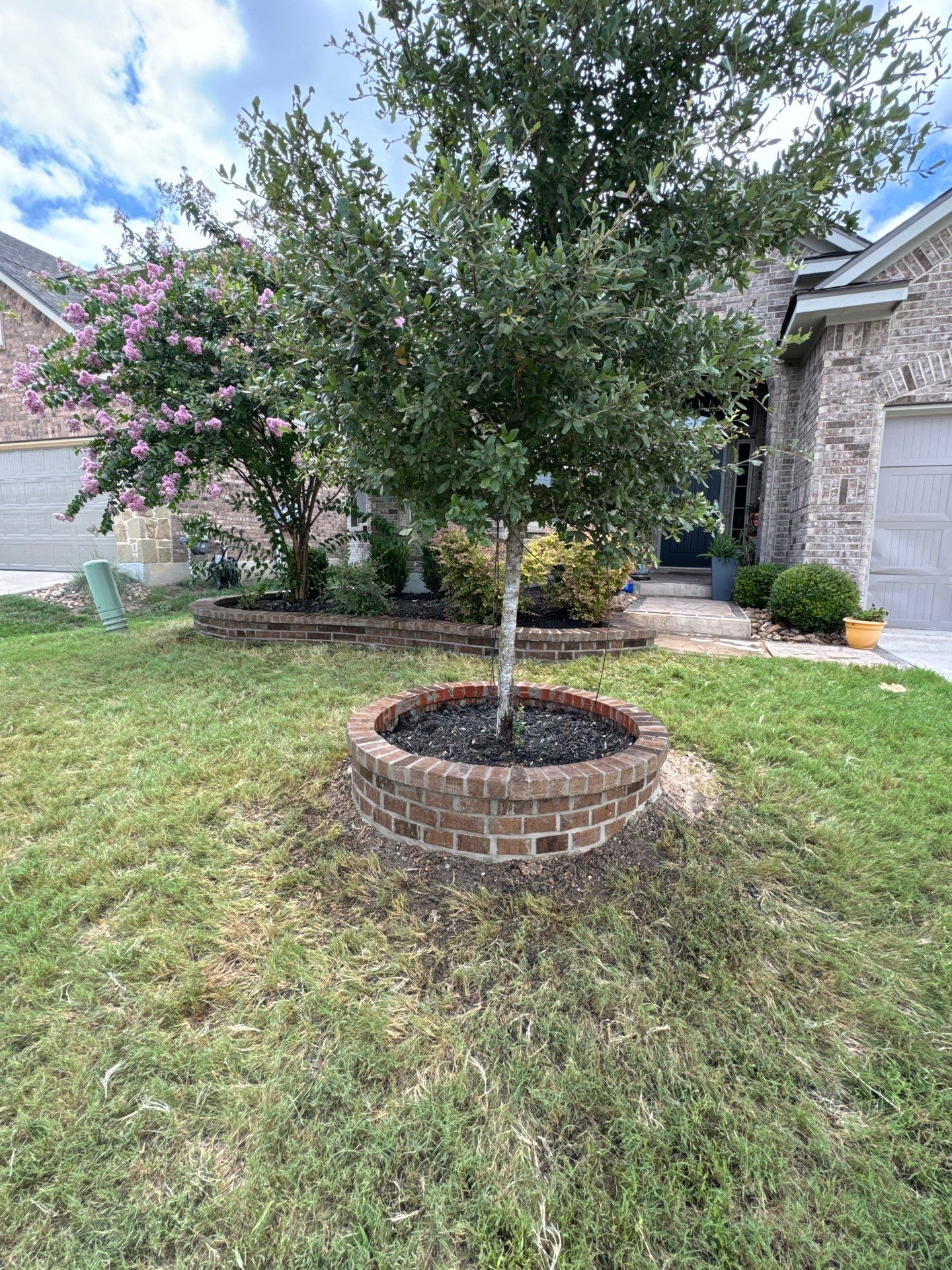 Wortham Oaks - San Antonio, TX by Hole In One Lawns, LLC