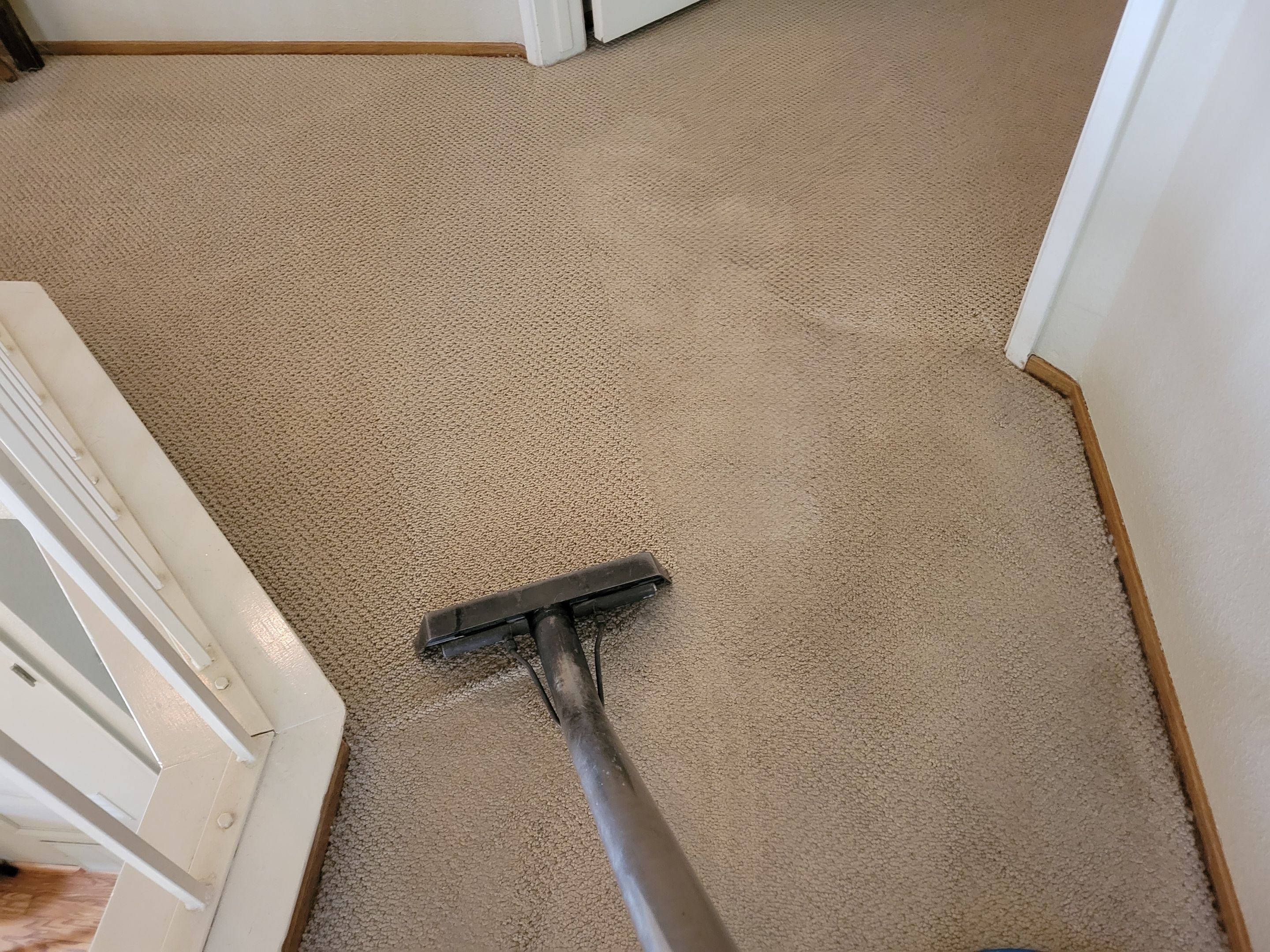 Condo, Residential Carpet Clean by Ardent Carpet Restore LLC