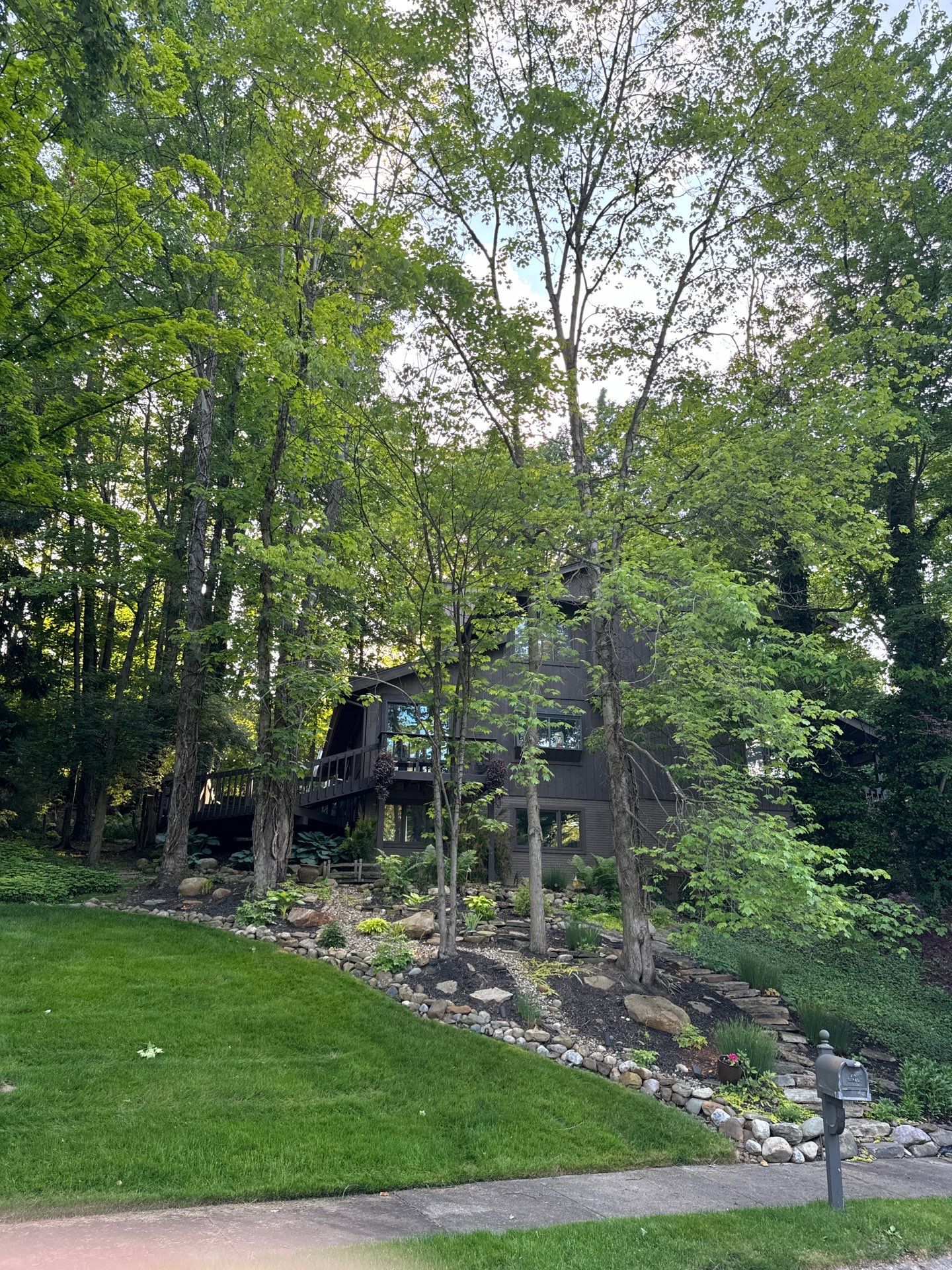 Tree Trimming using Tree Pruing by Mike Jones & Sons Tree Service LLC 