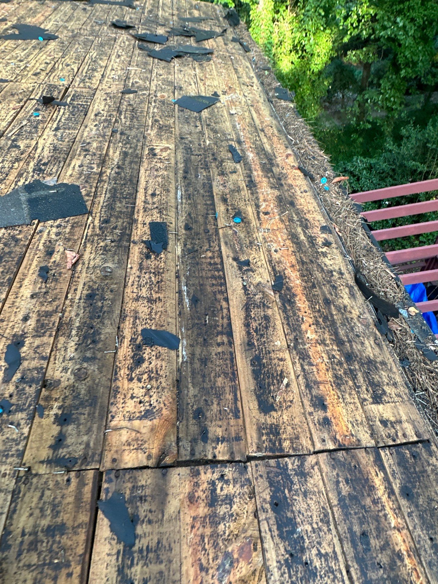 Morabit Clemson by United Contracting and Roofing