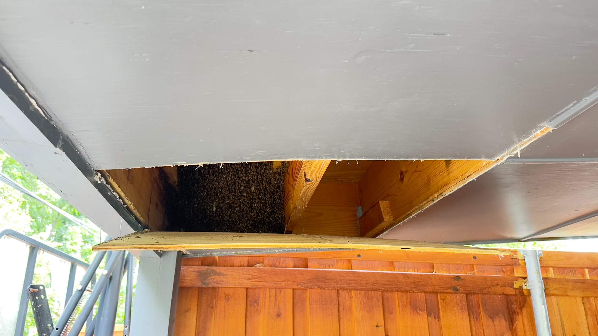 Carport by Rockwall Honey Bee Company