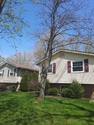 Tree Removal using Tree Removal