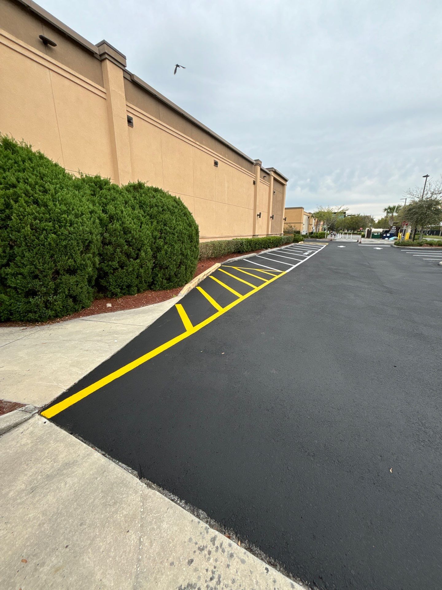 Brighter, Safer, Better: ABC Fine Wine & Spirits Parking Lot Makeover by Everline Coatings & Services - Southwest FL