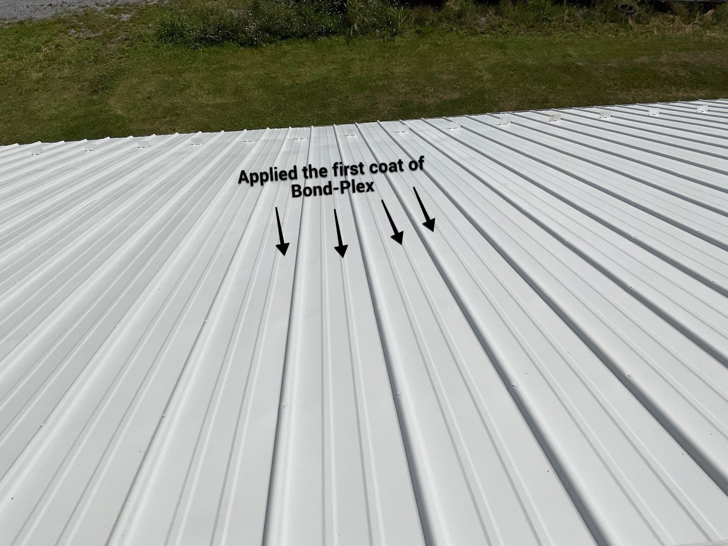 Exterior Painting by Alpha Design Services
