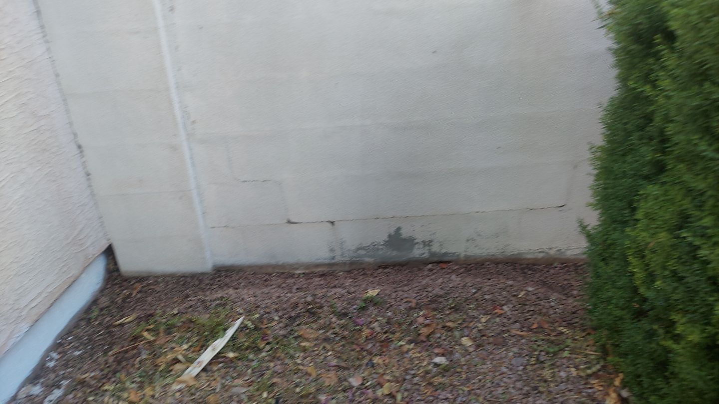 Exterior Painting - Gilbert by Crash of Rhinos Painting & Garage Floors