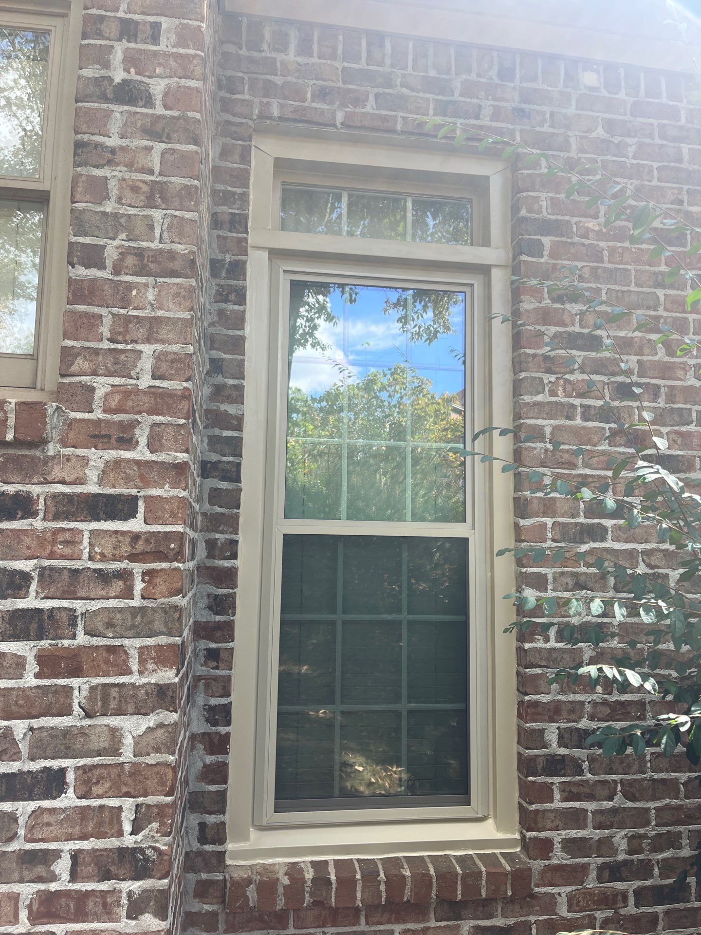 Dew Project in Hoover by The Window Source