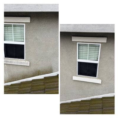 House Wash (Stain Removal)