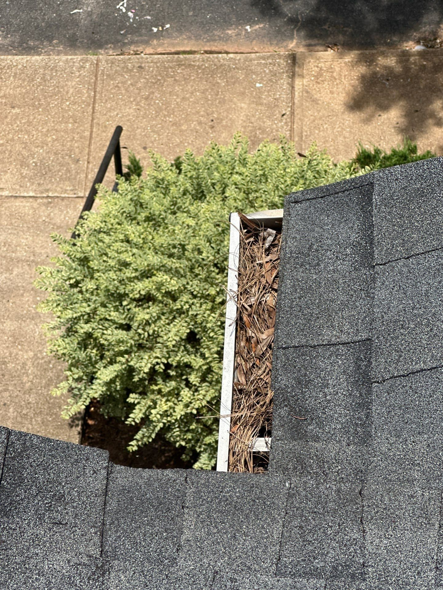 HOA gutter cleaning before photo