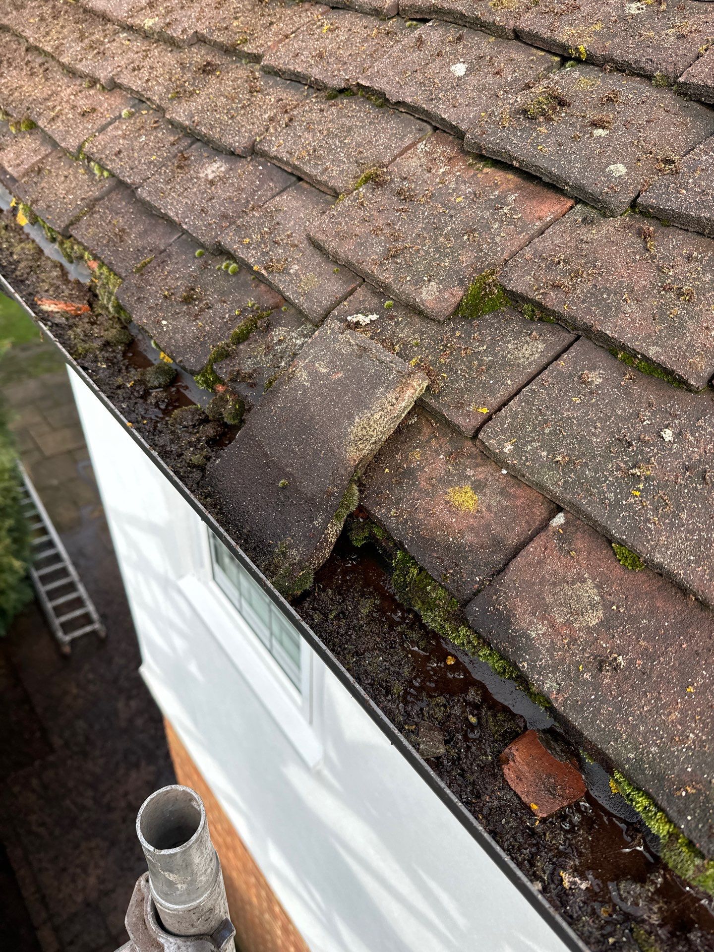 Exterior Clean - Roof - Patio - Driveway using Mosmatic FSC and Biocide by Ges Exterior Cleaning ltd