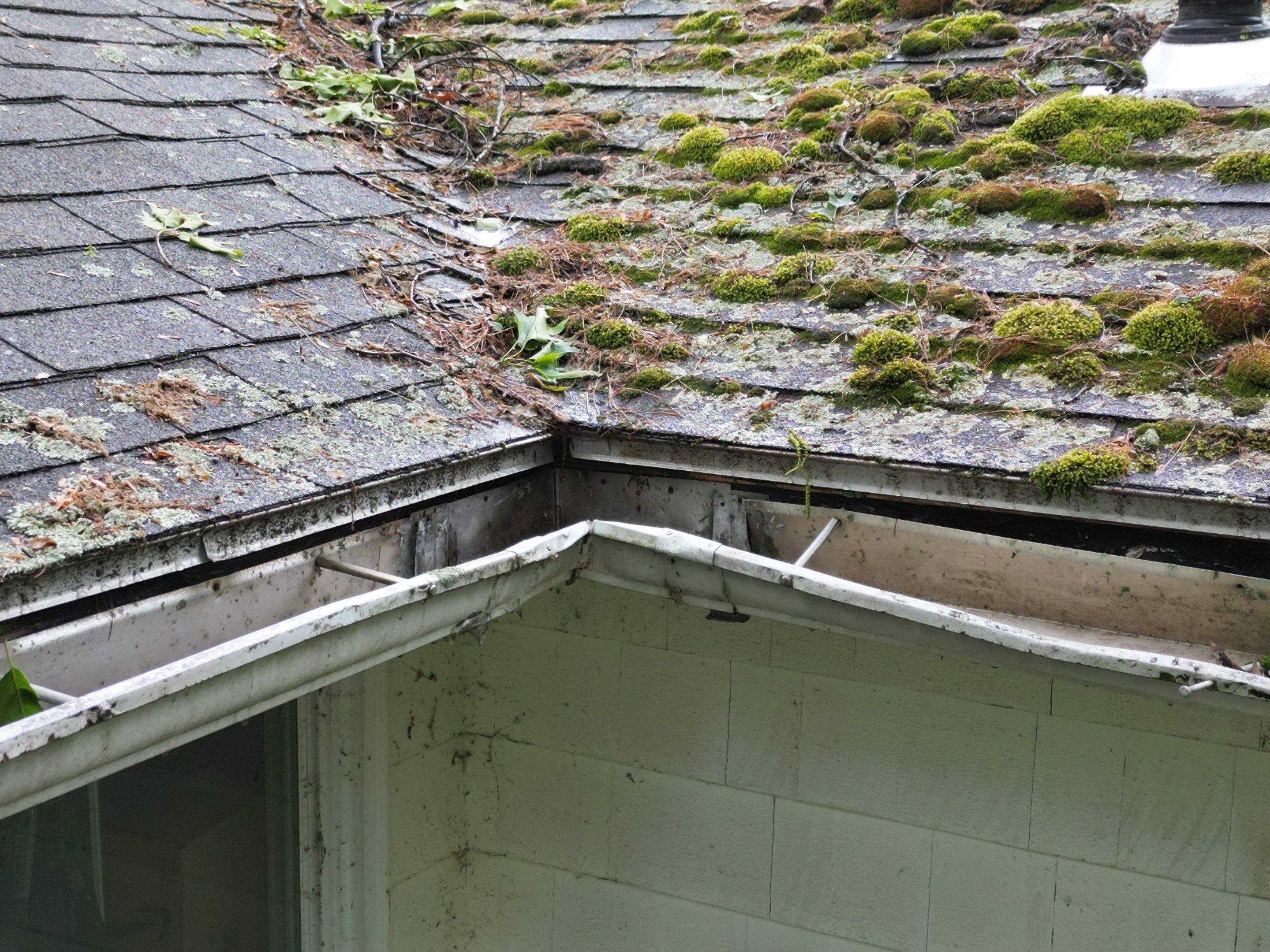 Roof & Exterior Renovation – Chelmsford, MA by Mighty Dog Roofing of Greater Middlesex County