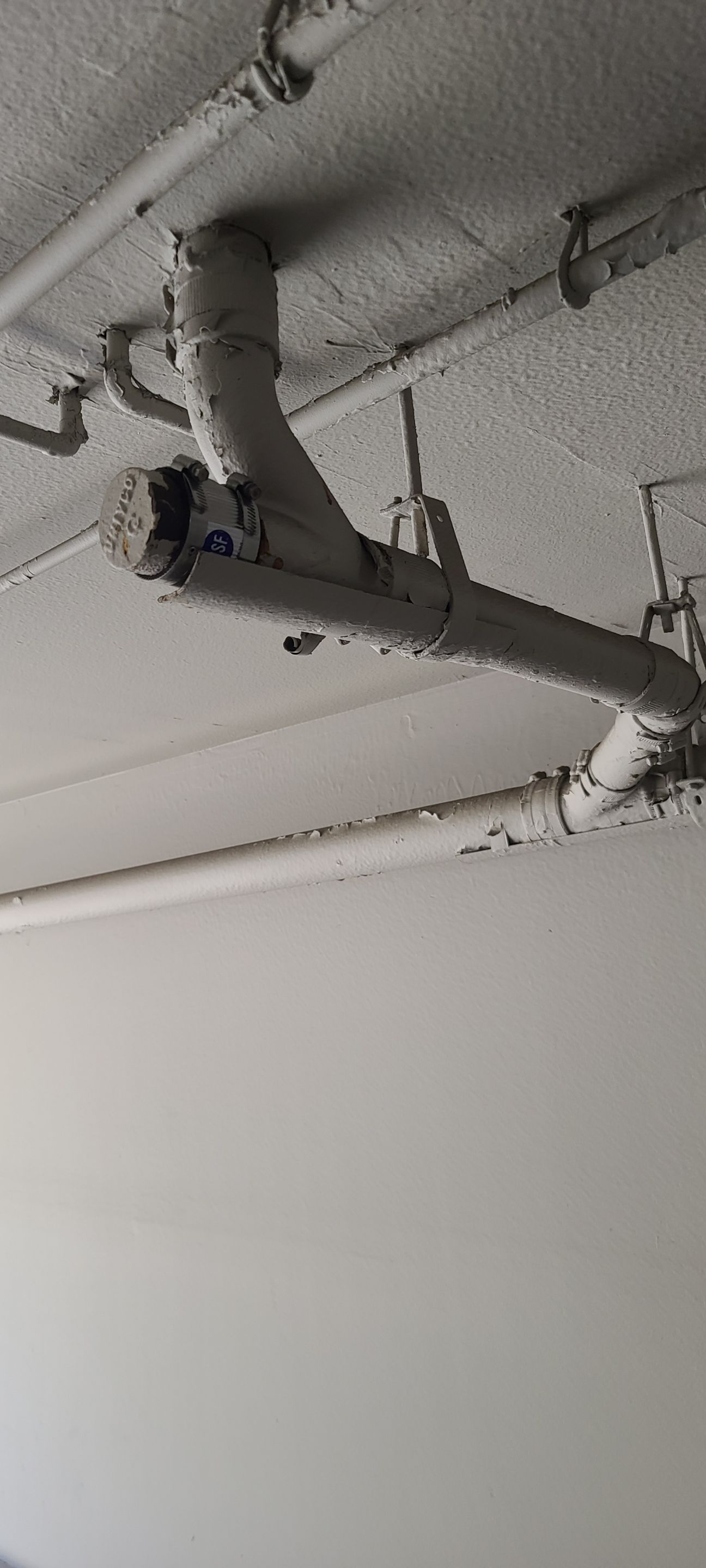 Rotted Drain Line  by Professional Plumbing Inc 